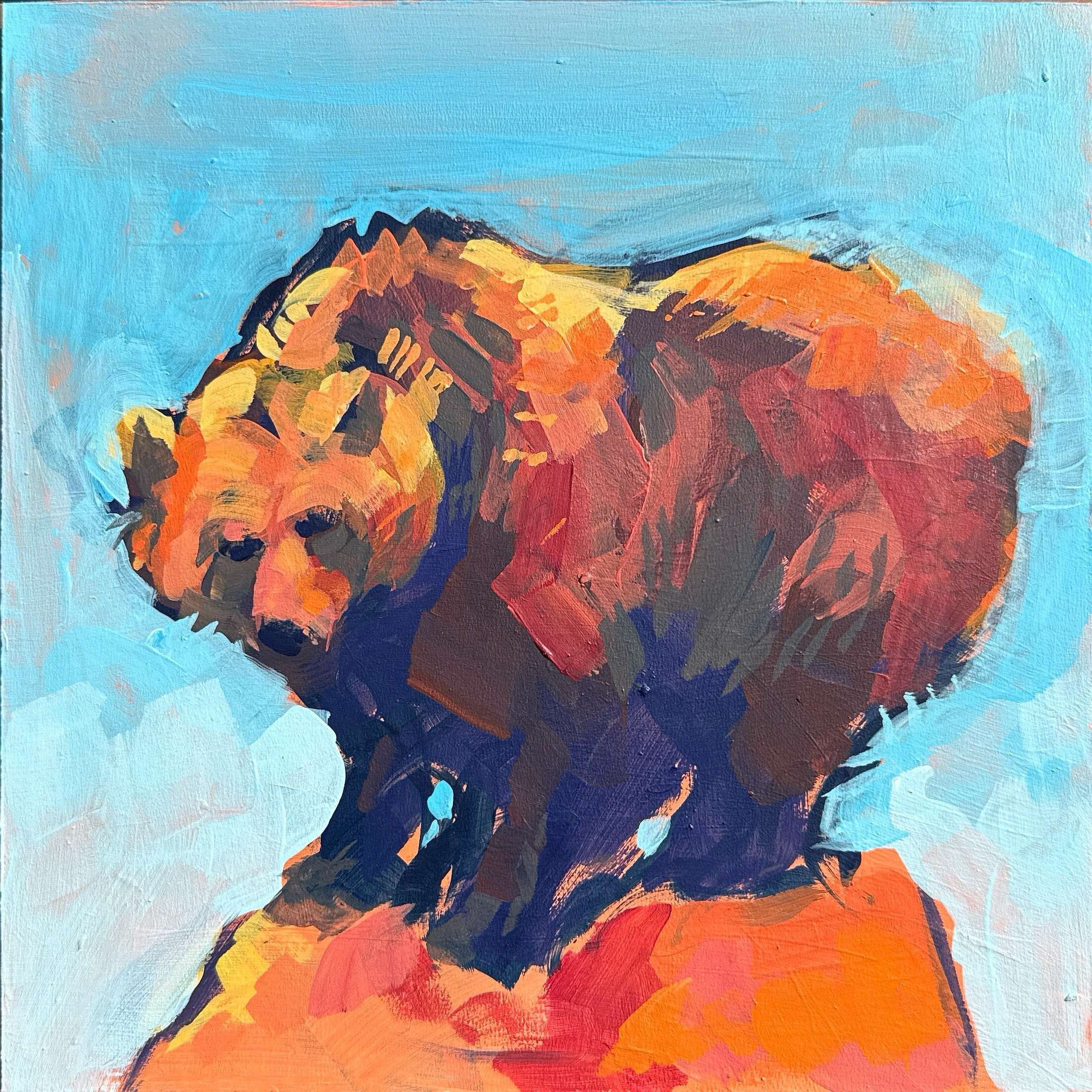 Bärgrettung - Daniel Heimgärtner 1