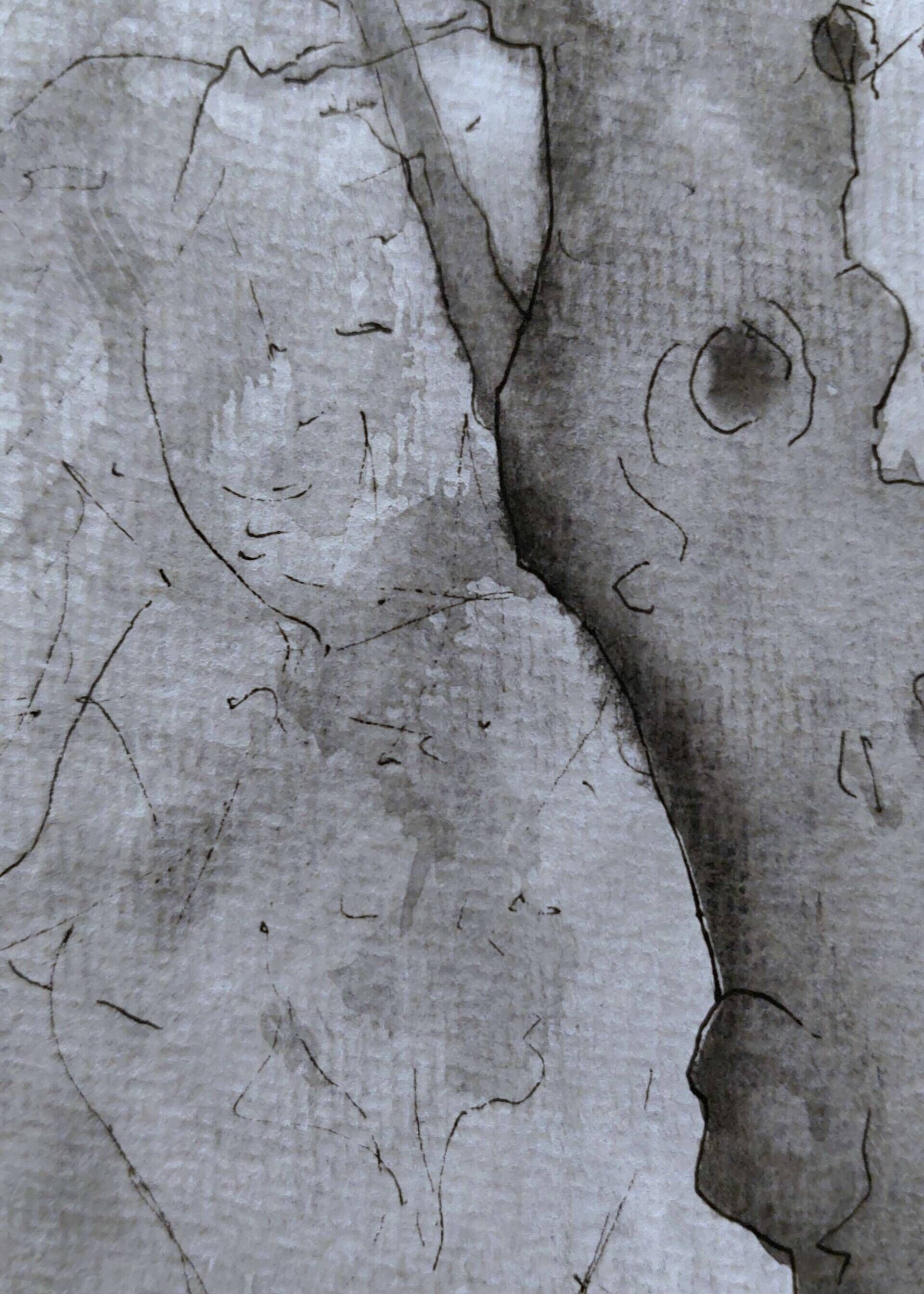 Die Vision im Olivenhain - Alexander Straub 7