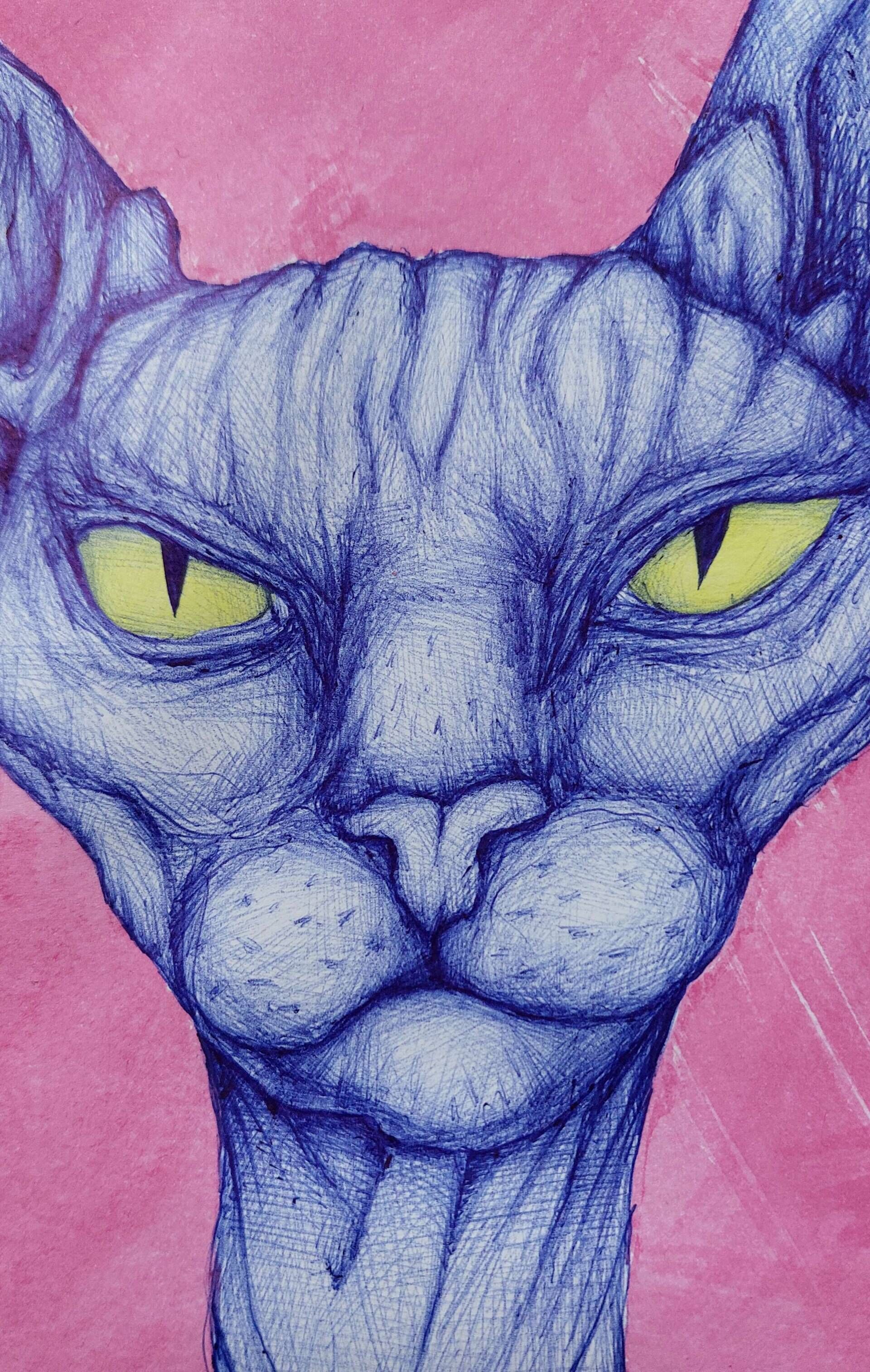 Der Blick der Katze - Alexander Straub 2