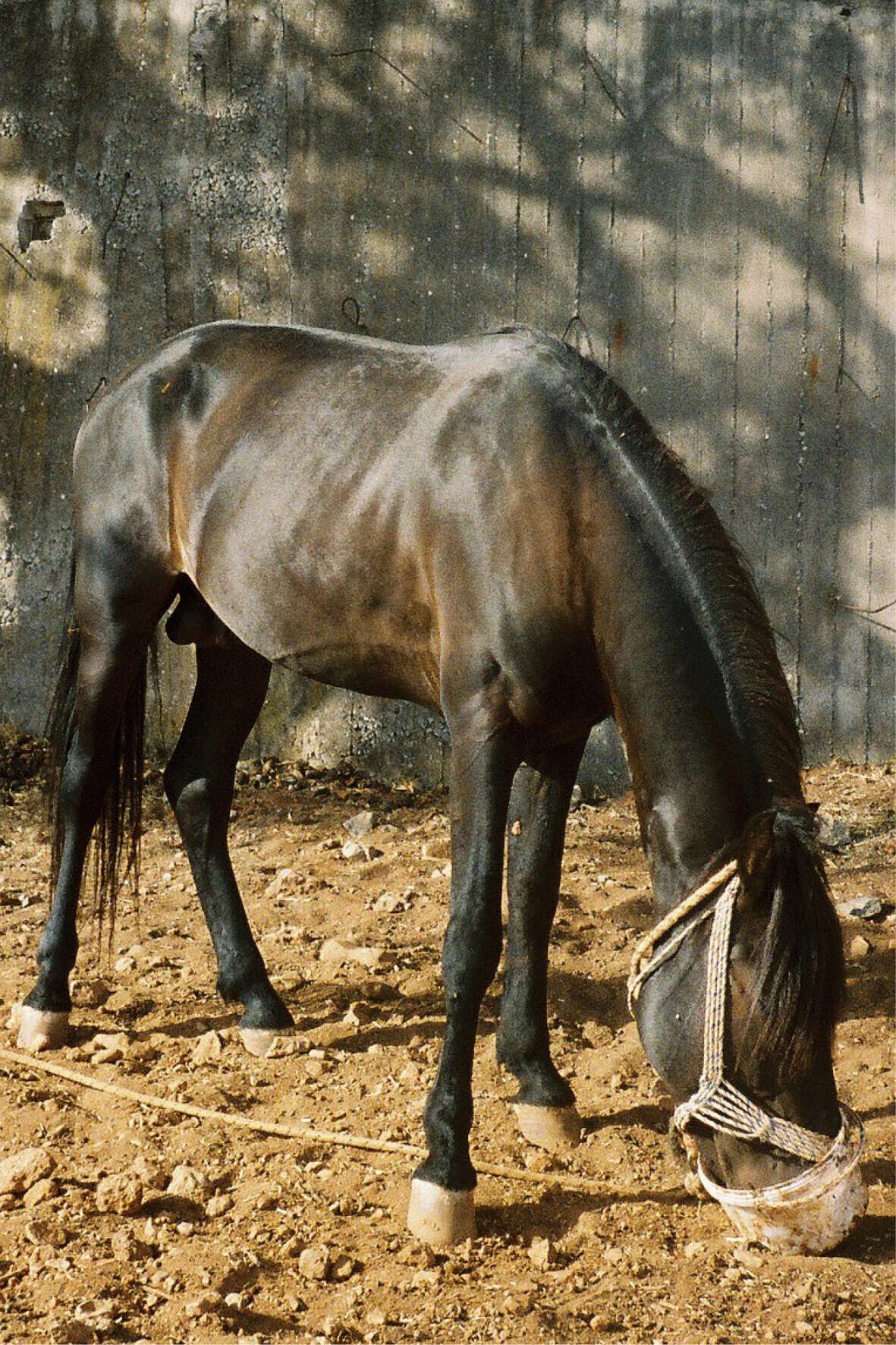 Fotografie - Lucie Löchel 1