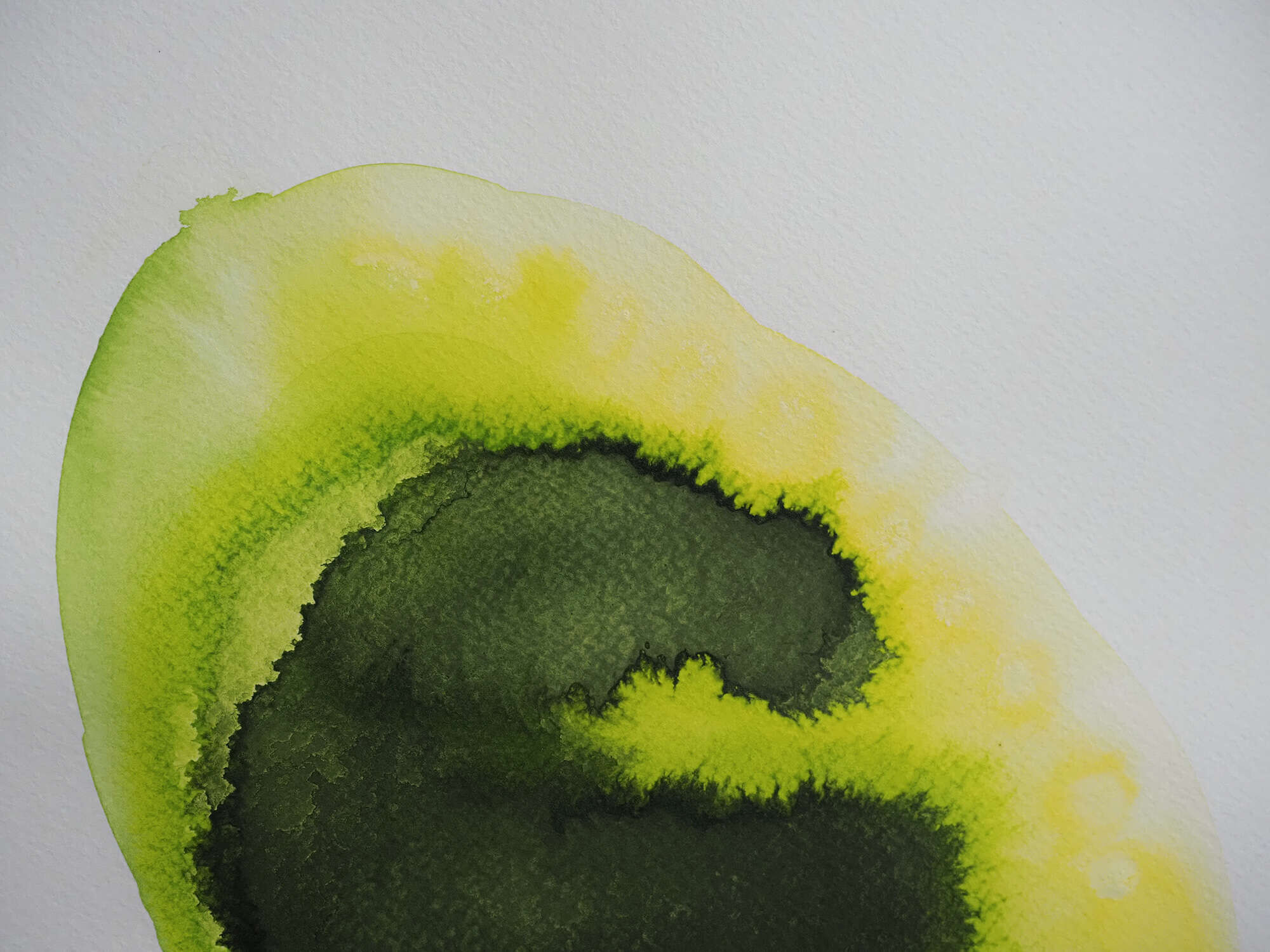 Microverse 9/12 - Vicky Anna Lardschneider 3