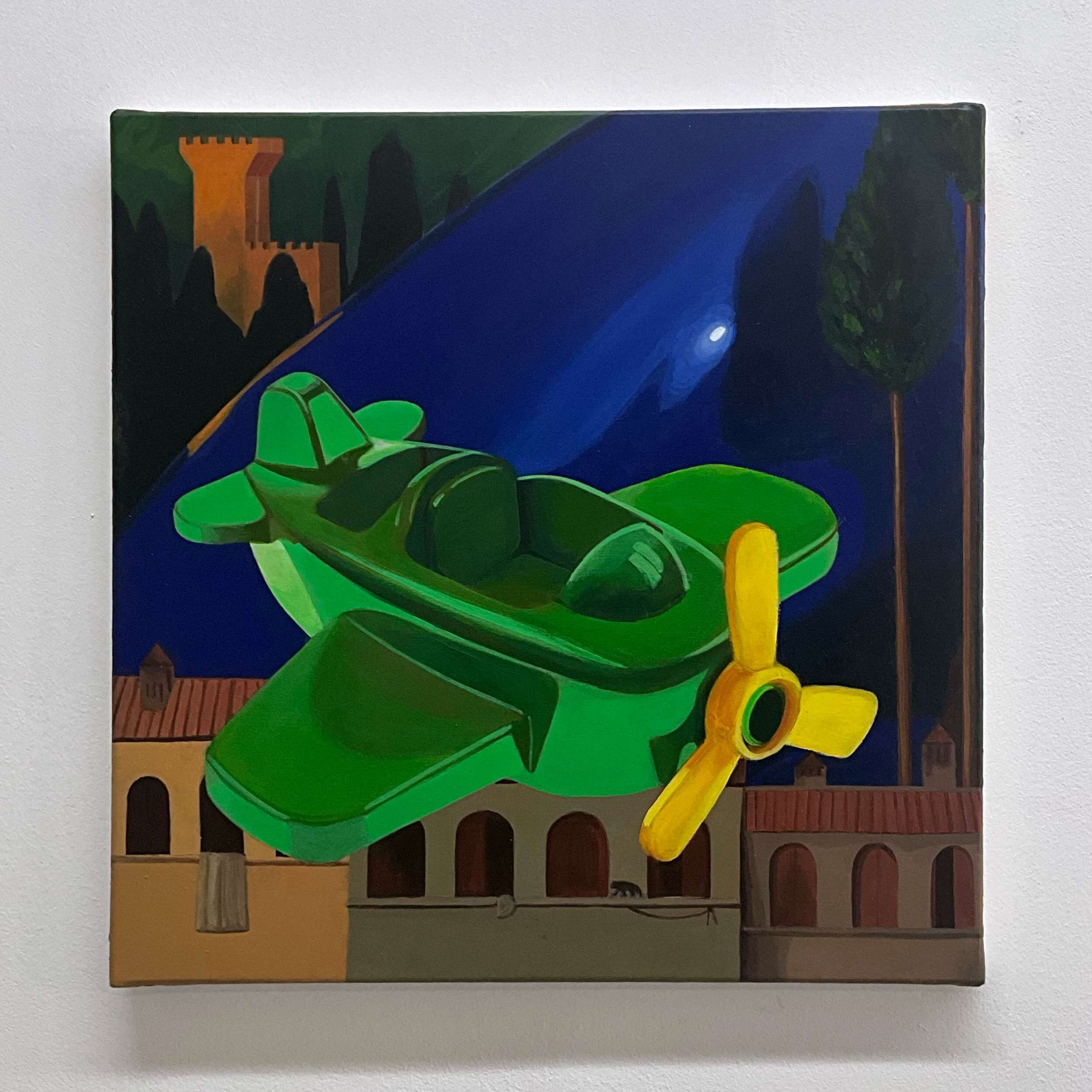 Grüner Flieger - Lukas Franz Zimmermann 2