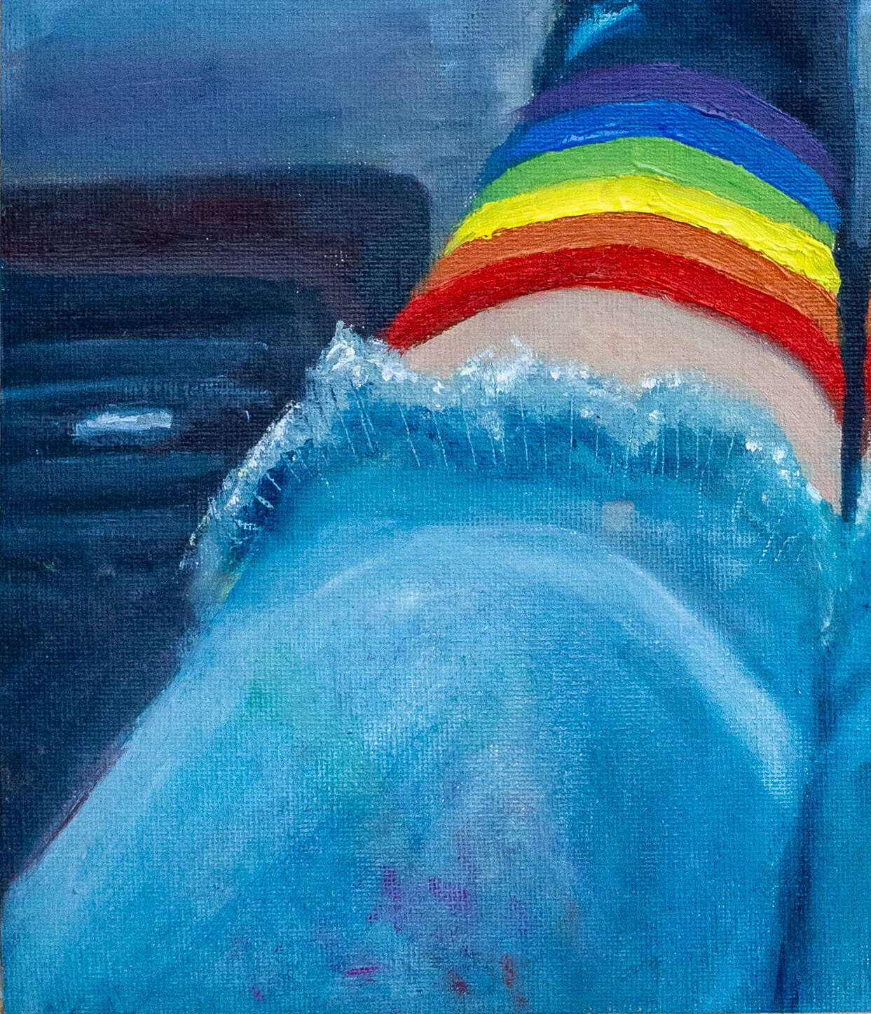 Rainbowsock 3 - Merle Renkl 2