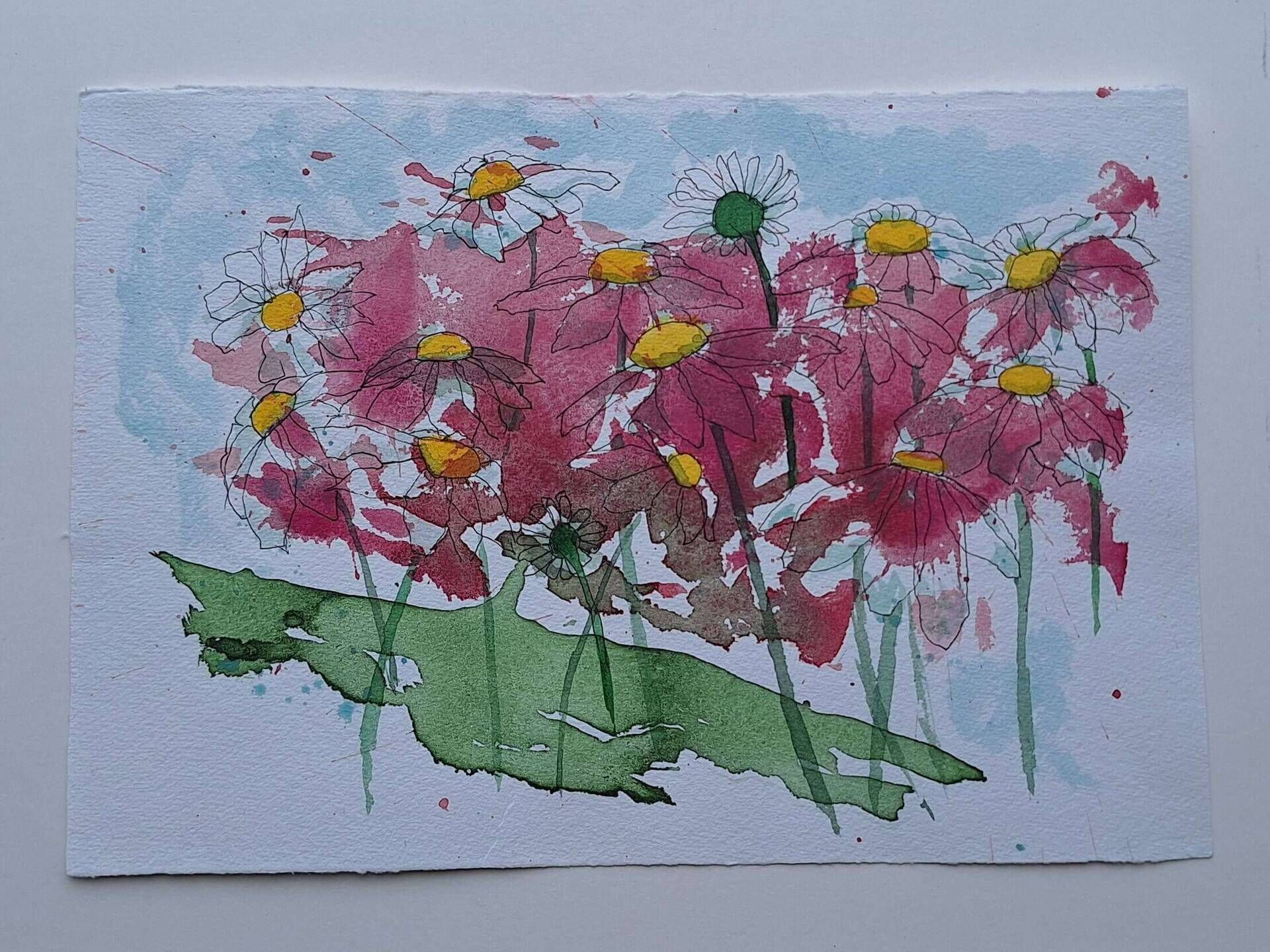 Pink Daisies - Sara Wimmers 1