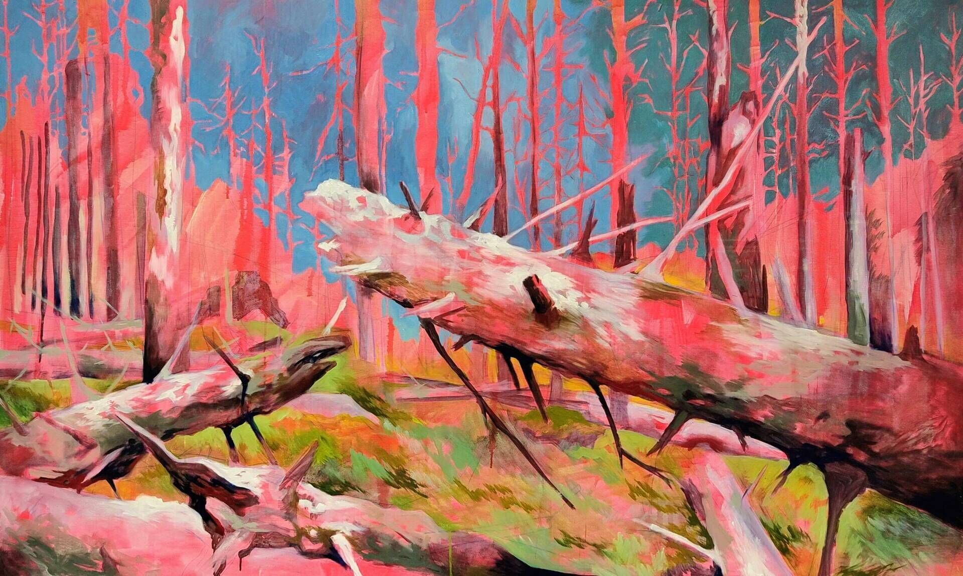 Habitatbäume  - Jannis Kustak 1