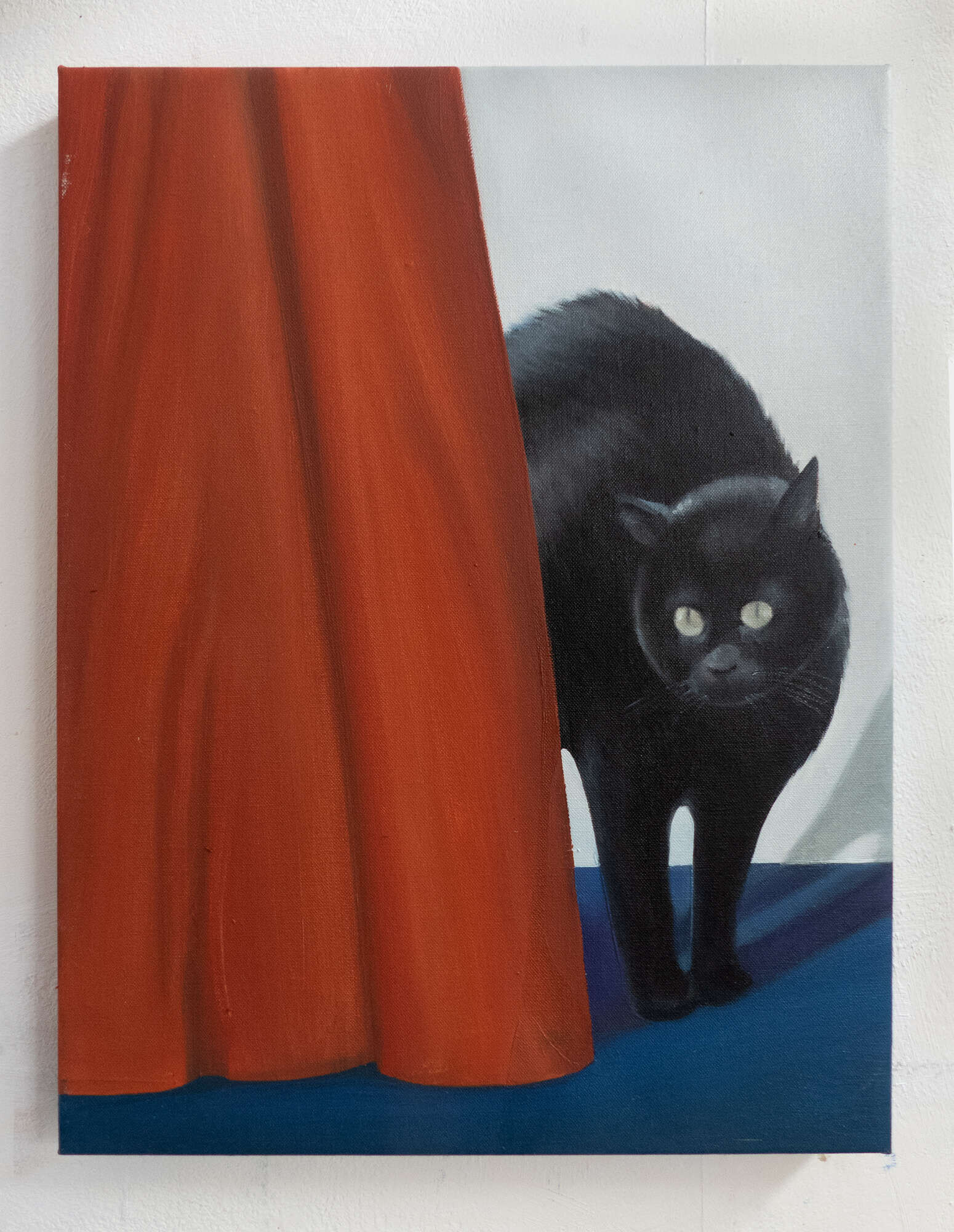 Gato erizado - Jo Failer 4