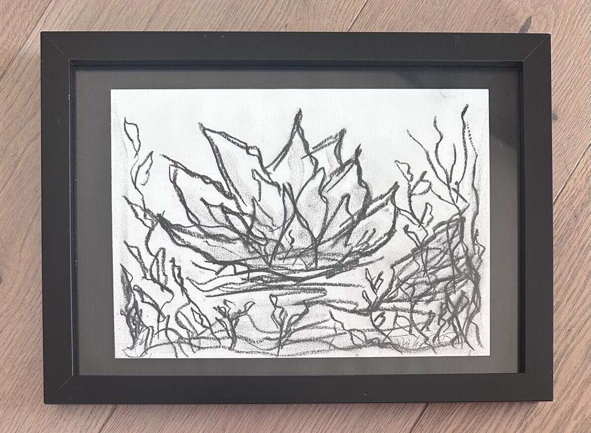 Waterlilies Dream 3 - Martina  Schepperle  4