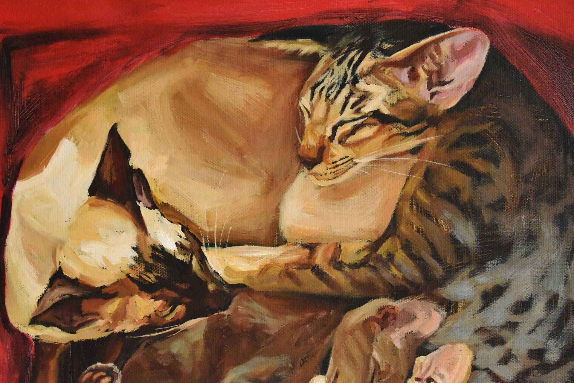 Red Cat Square  - Elza Slo 4