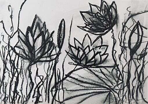 Waterlilies Dream 1 gerahmt - Martina  Schepperle  2