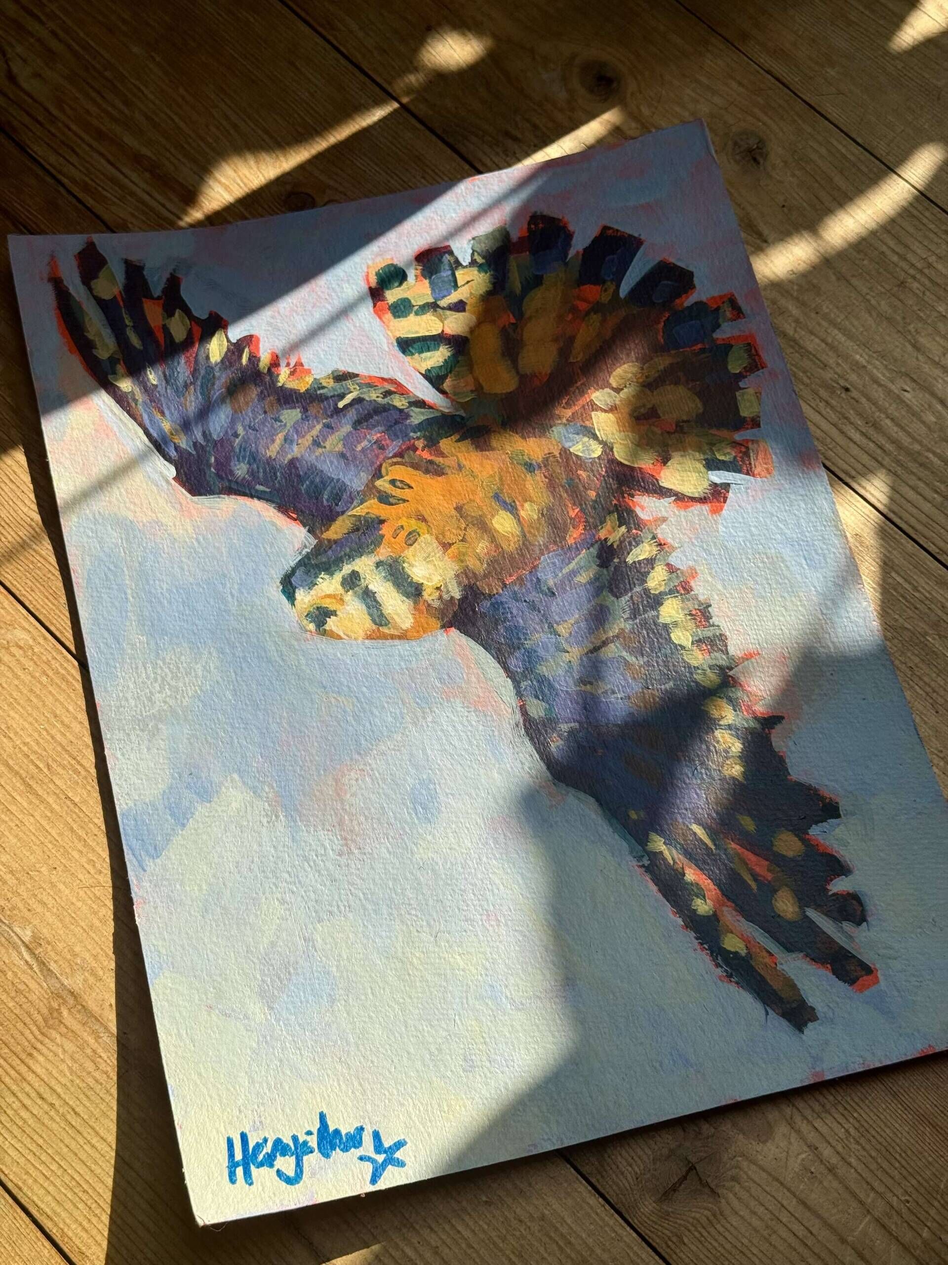 Buntfalke - Daniel Heimgärtner 2