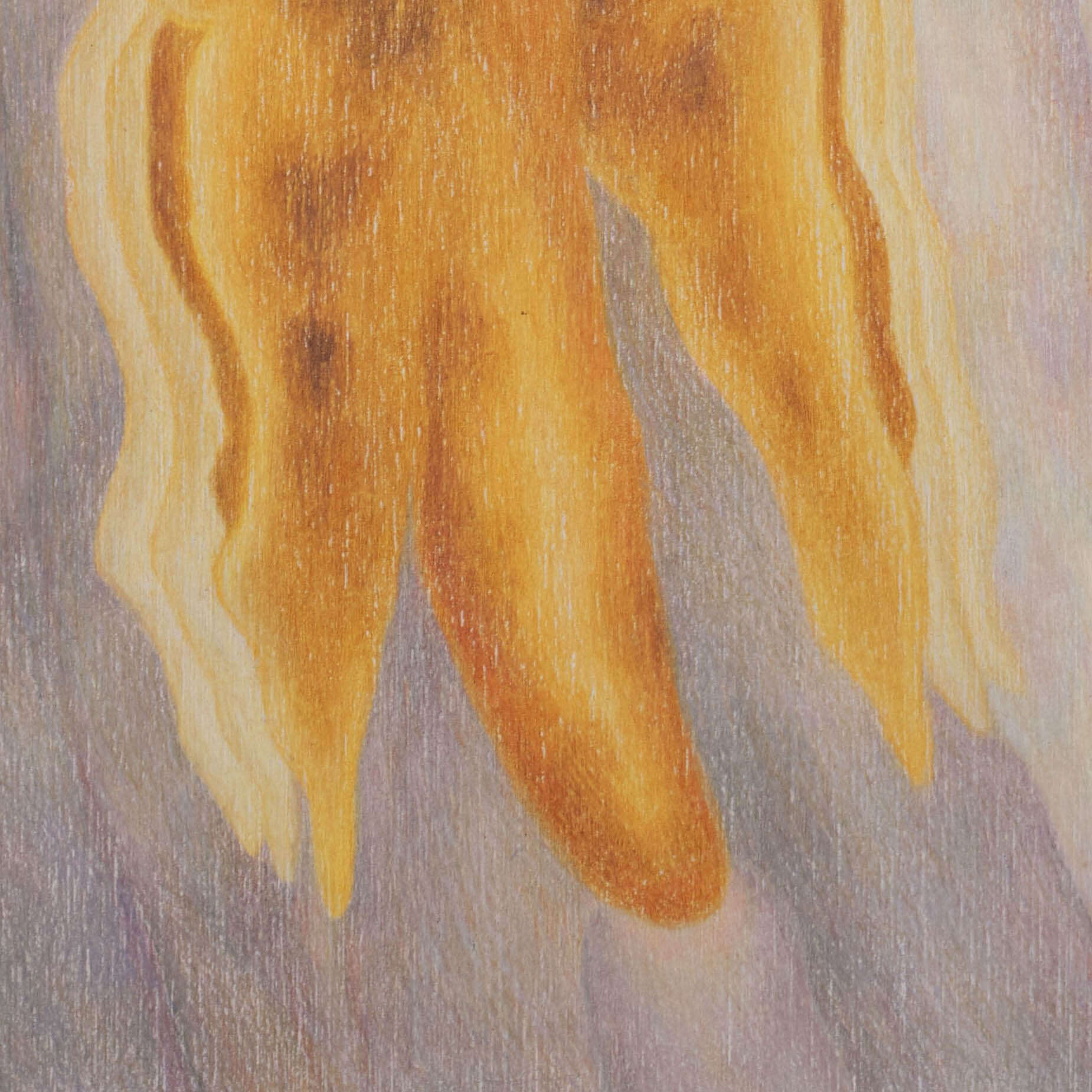 Wind Blows - Yulia Katan 6