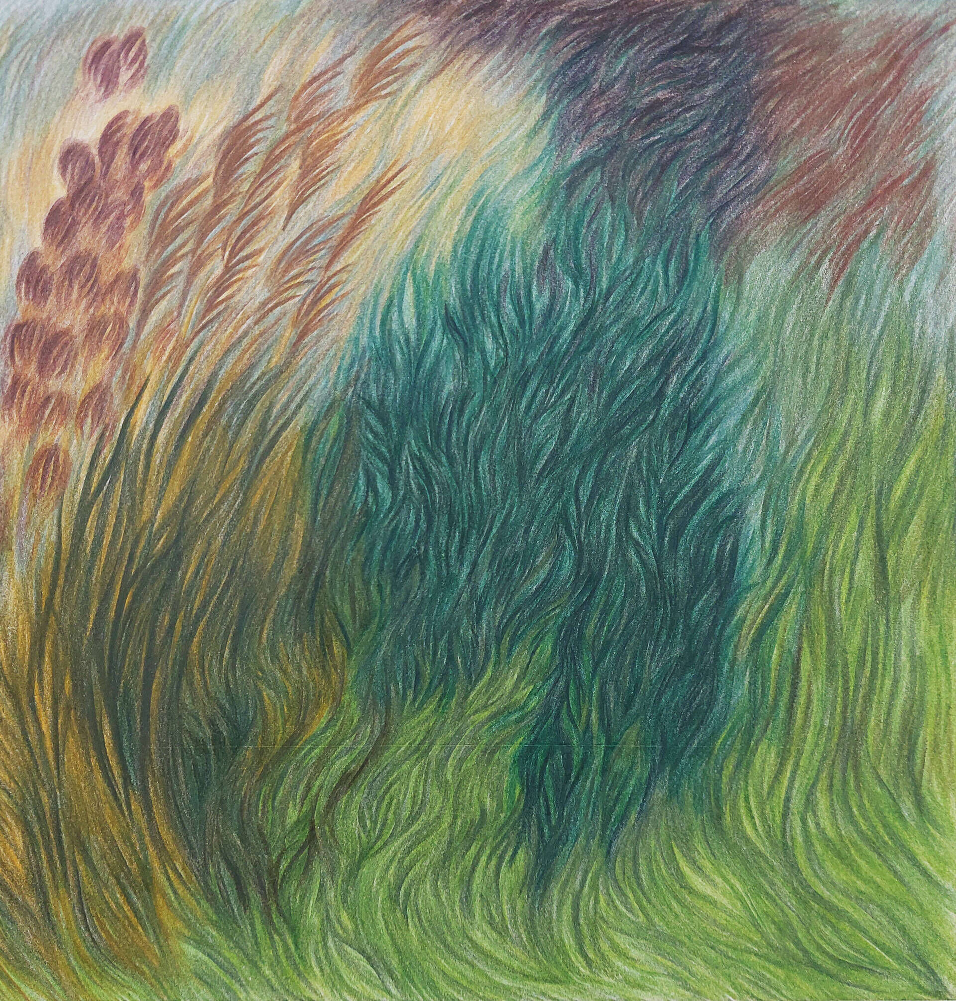 Winde 2 - Yulia Katan 1