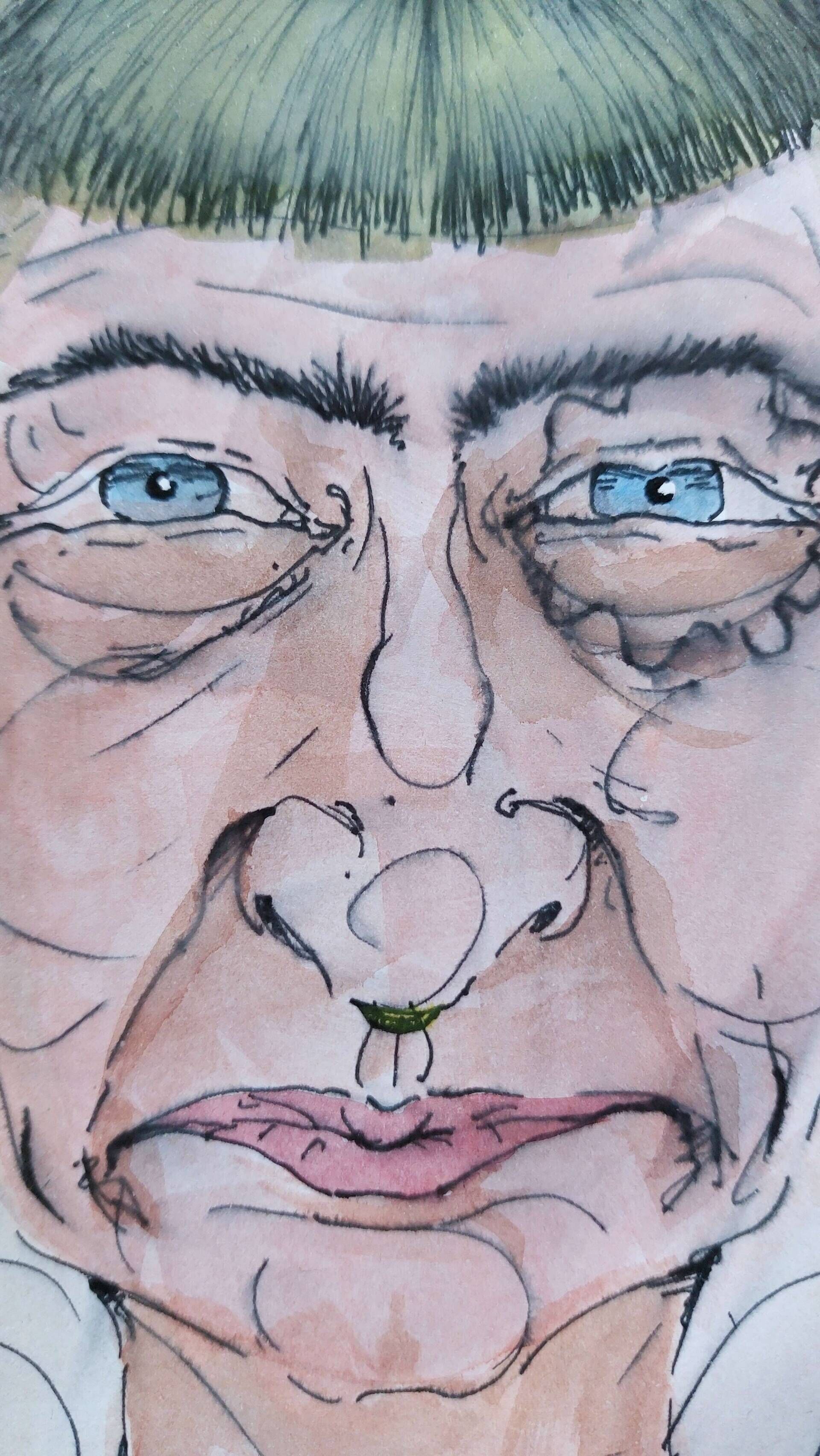 Pilze im Hintergrund  - Alexander Straub 5