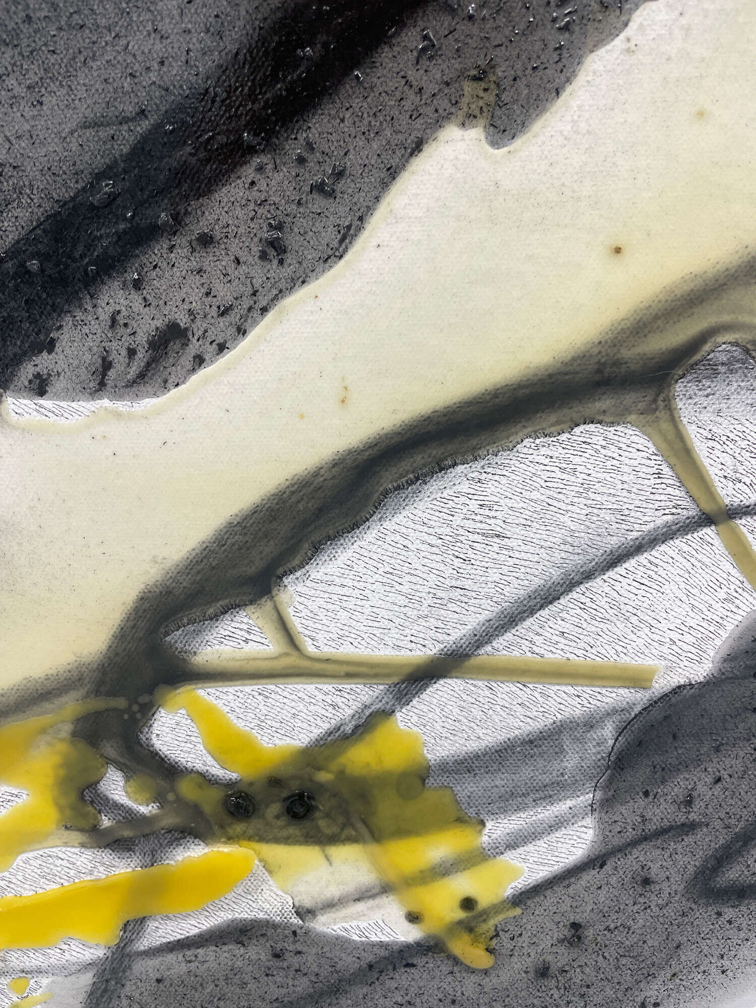 Insektenschwarm - Vicky Anna Lardschneider 1