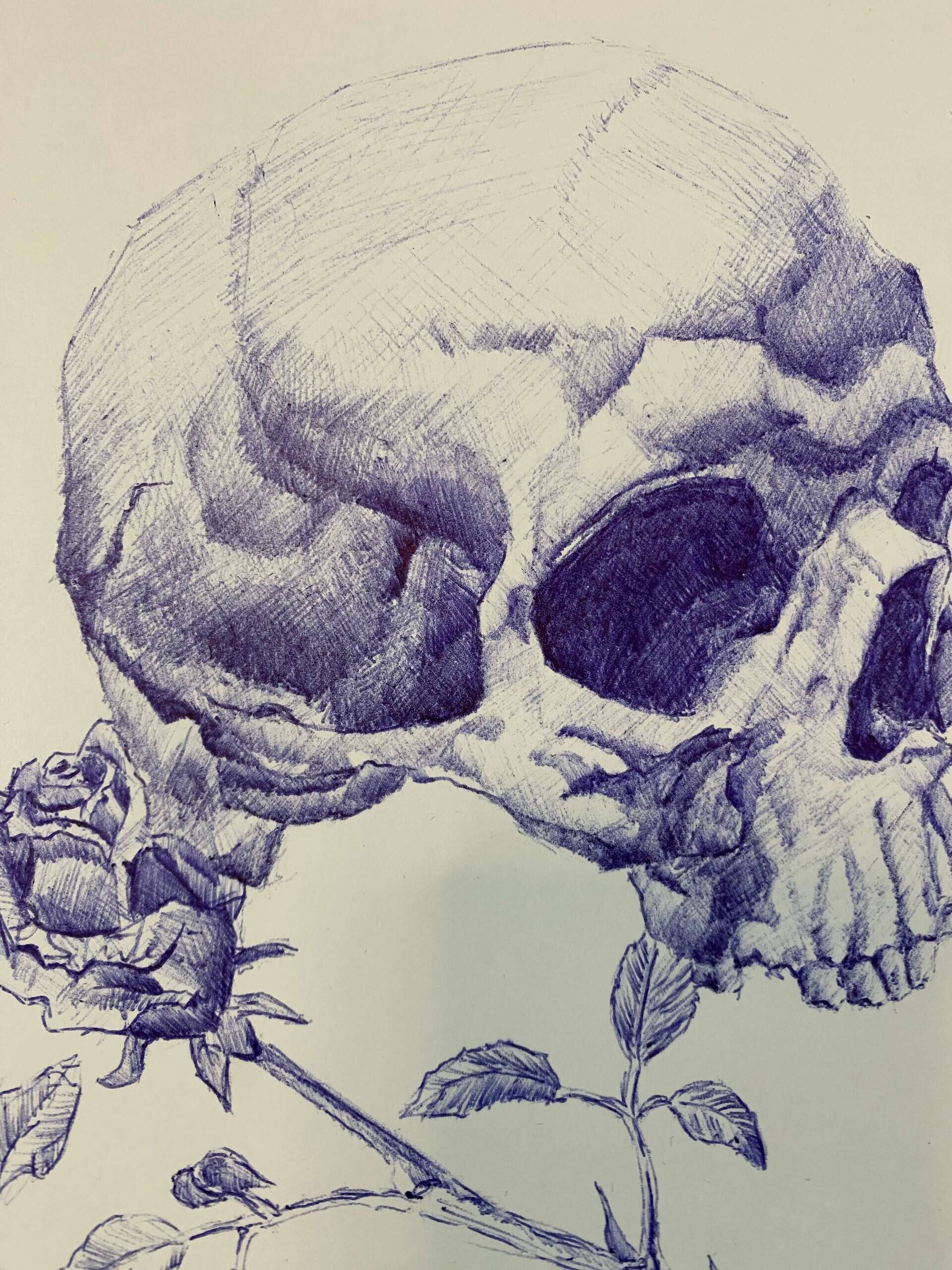 Skull with Rose - Paul Schäfer 1