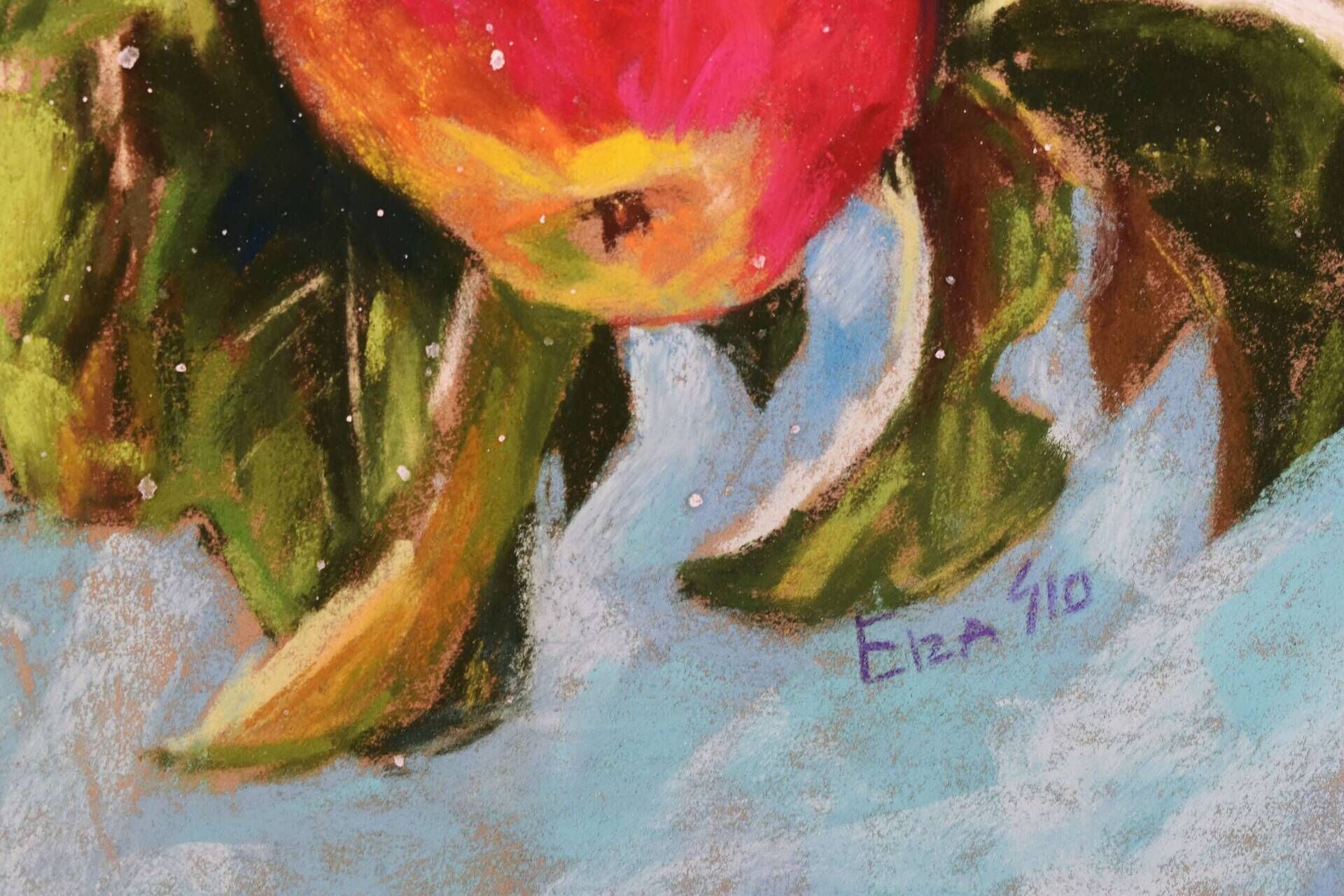 Wonder 2 - Elza Slo 2