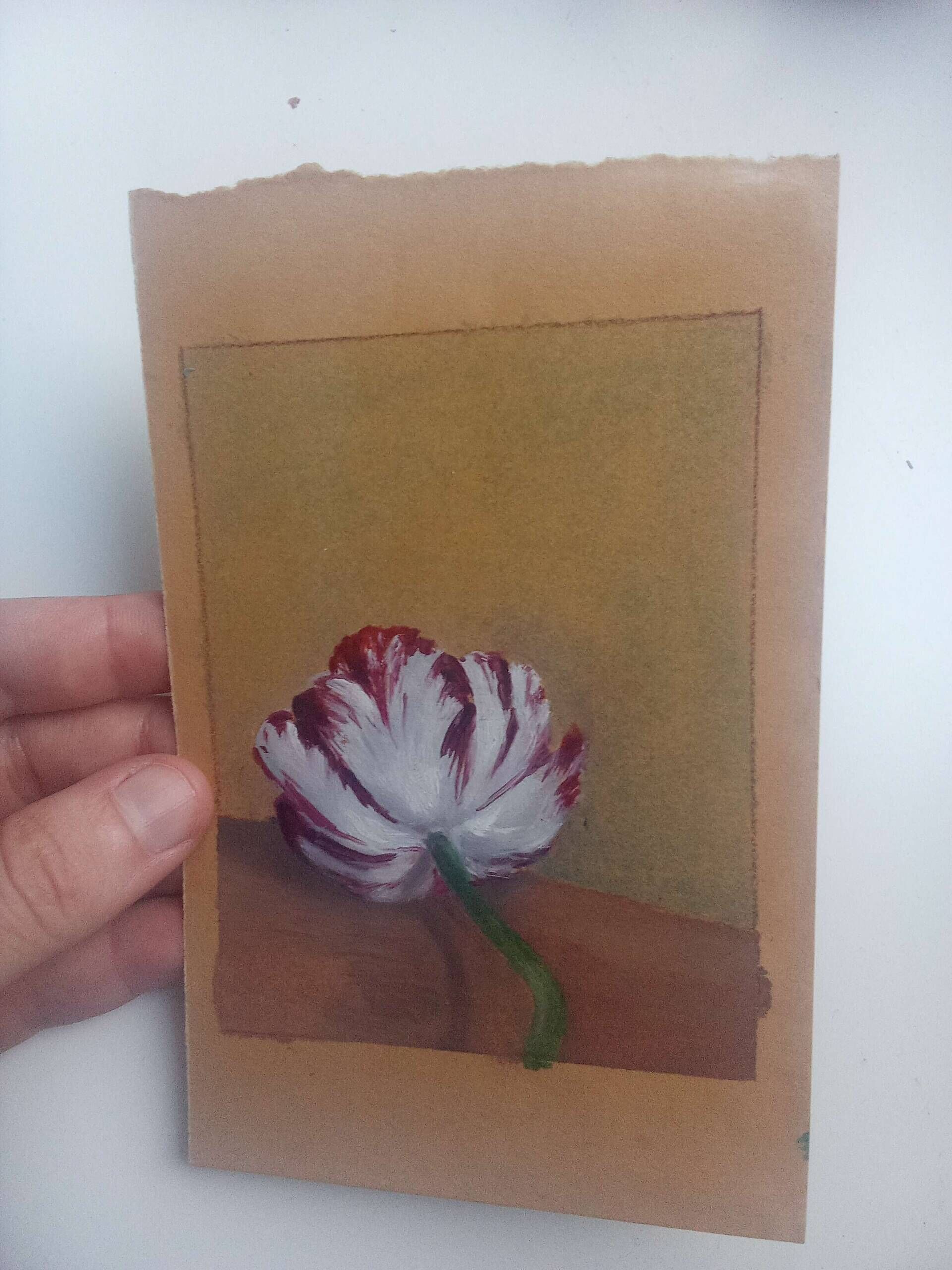 Tulpe - Jo Failer 3