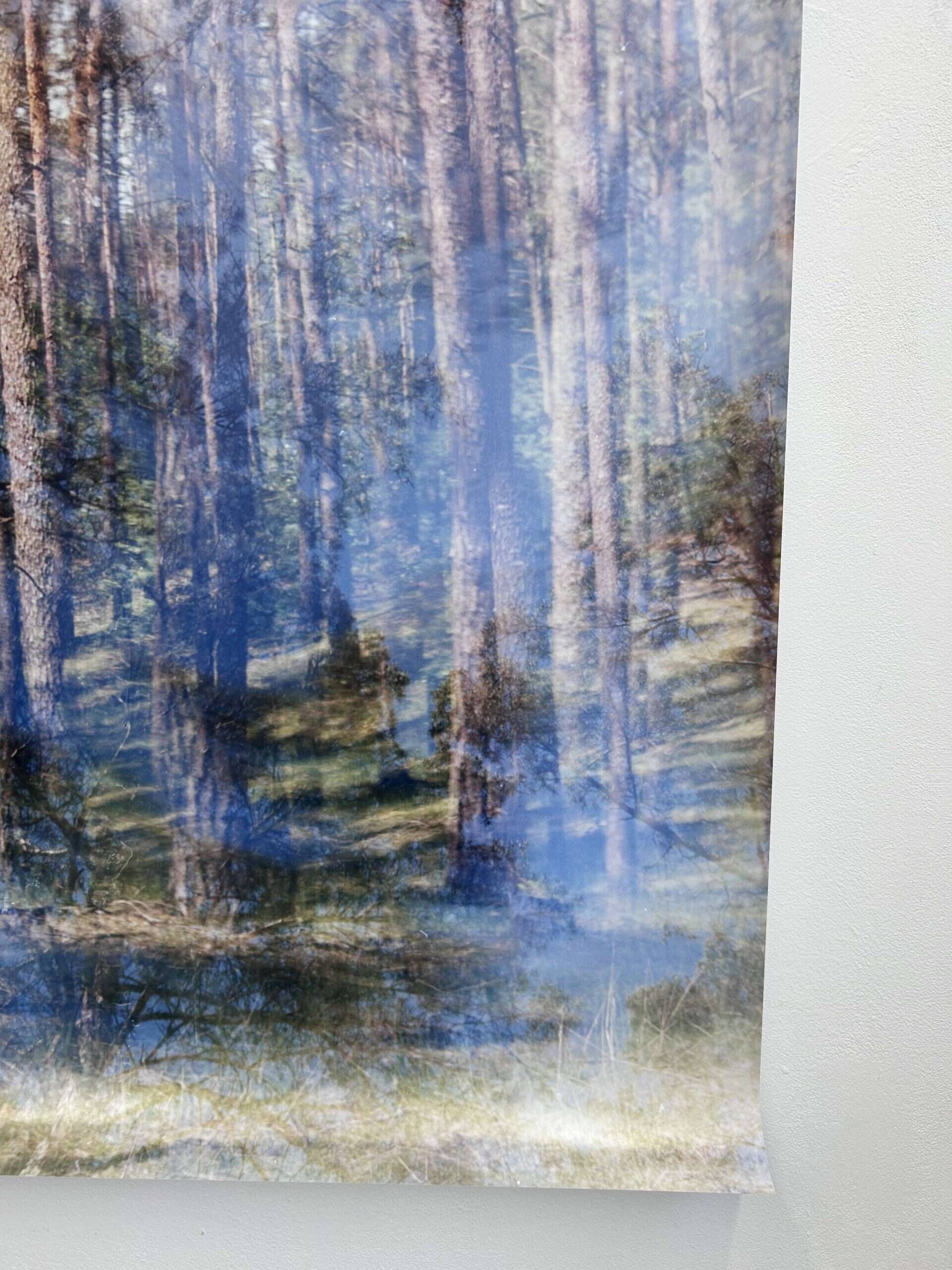 Wunderwald 2.0 - Luise Oswald 5