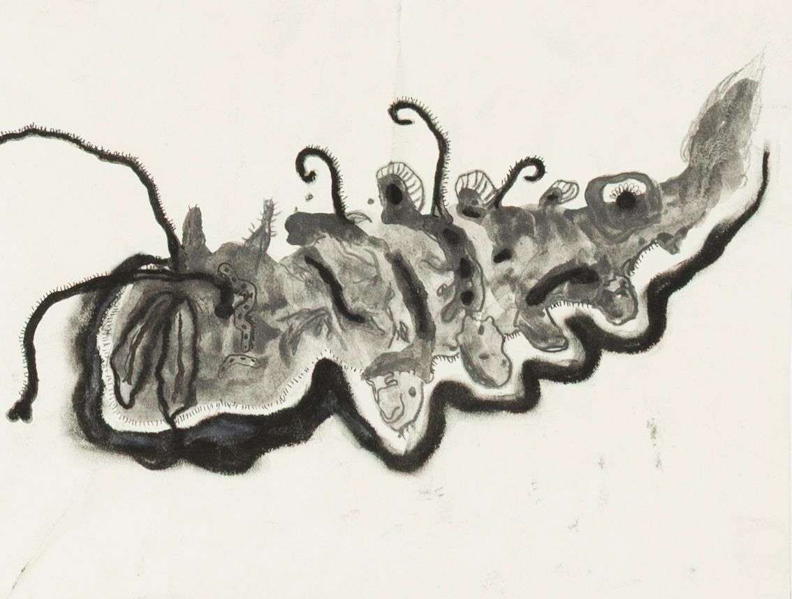 Schön und fremd – Insektenstudie I - Boramee Kim 1