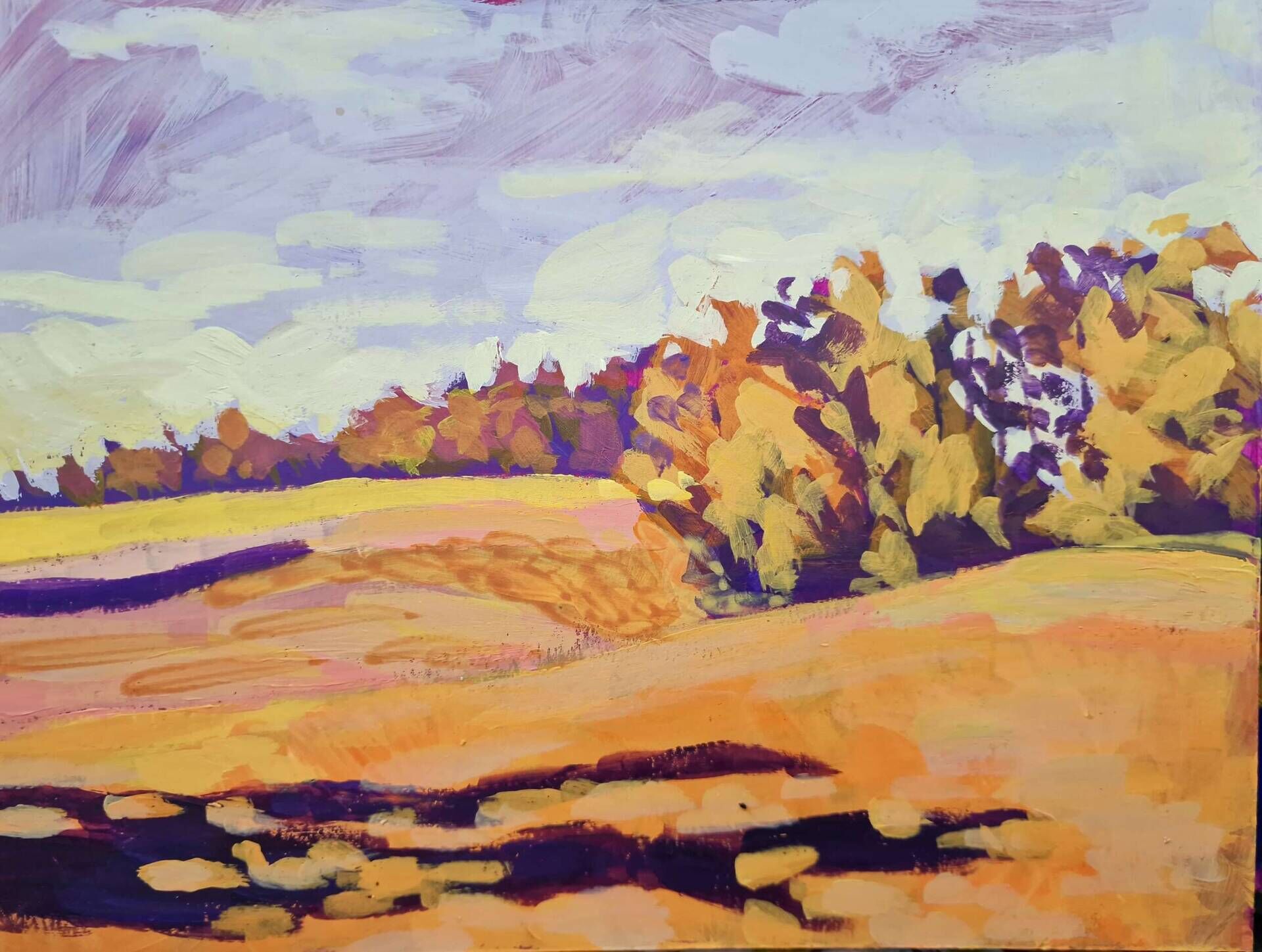 Feld in Orange - Julia Helena Ettenhuber 1