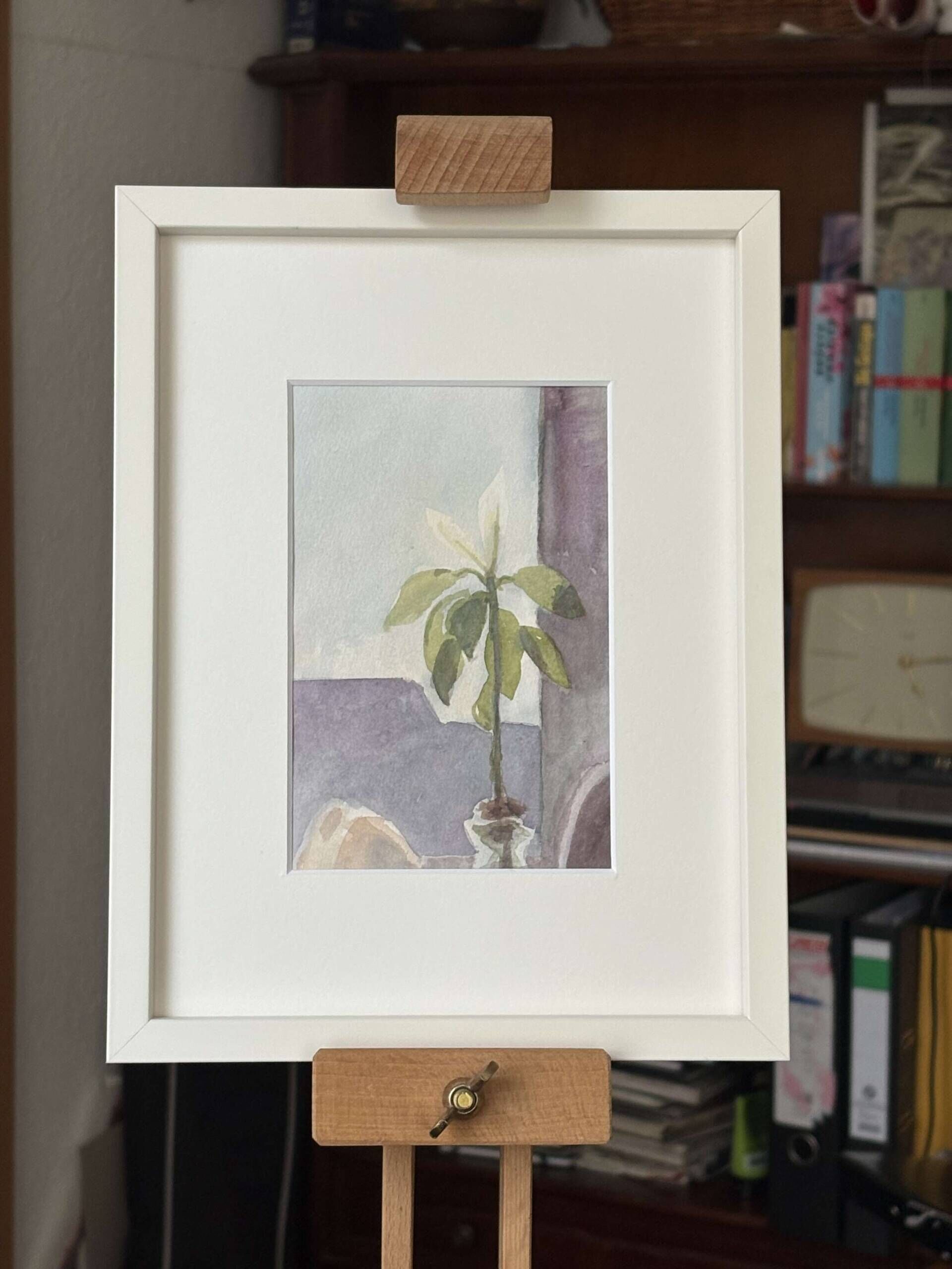 Avocado mit Morgensonne - Katja 2