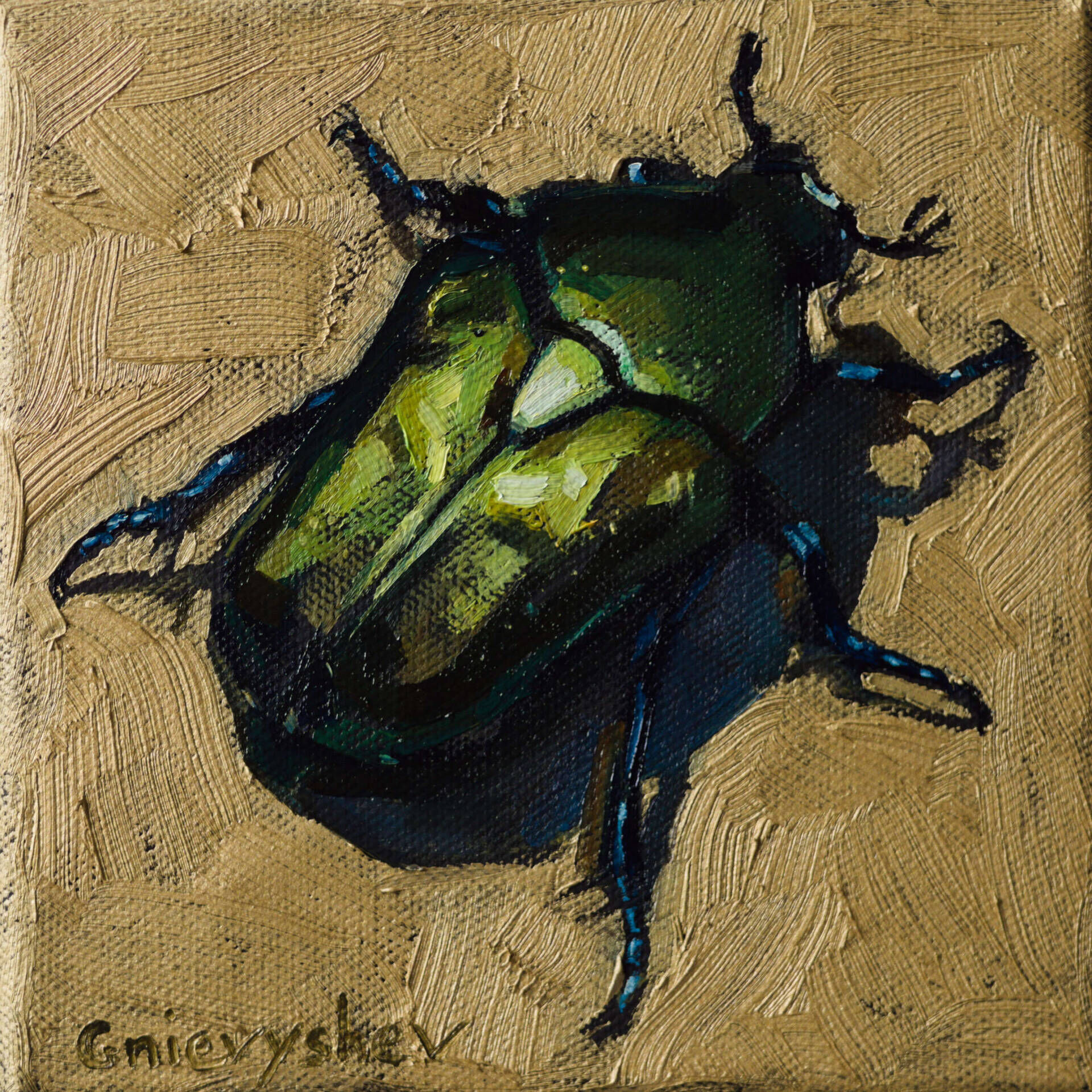 Rosenkäfer - Oleksii Gnievyshev 1