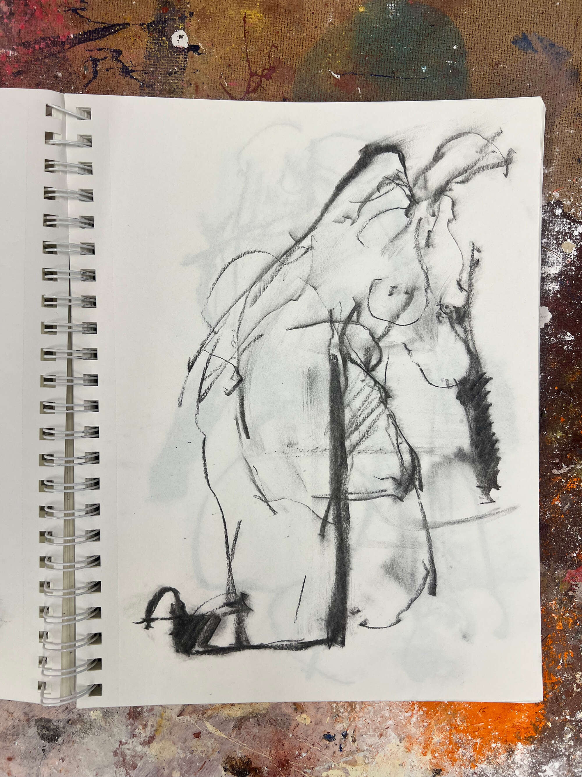 seitlich - Tyler Heidenwag seitlich - Tyler Heidenwag 2