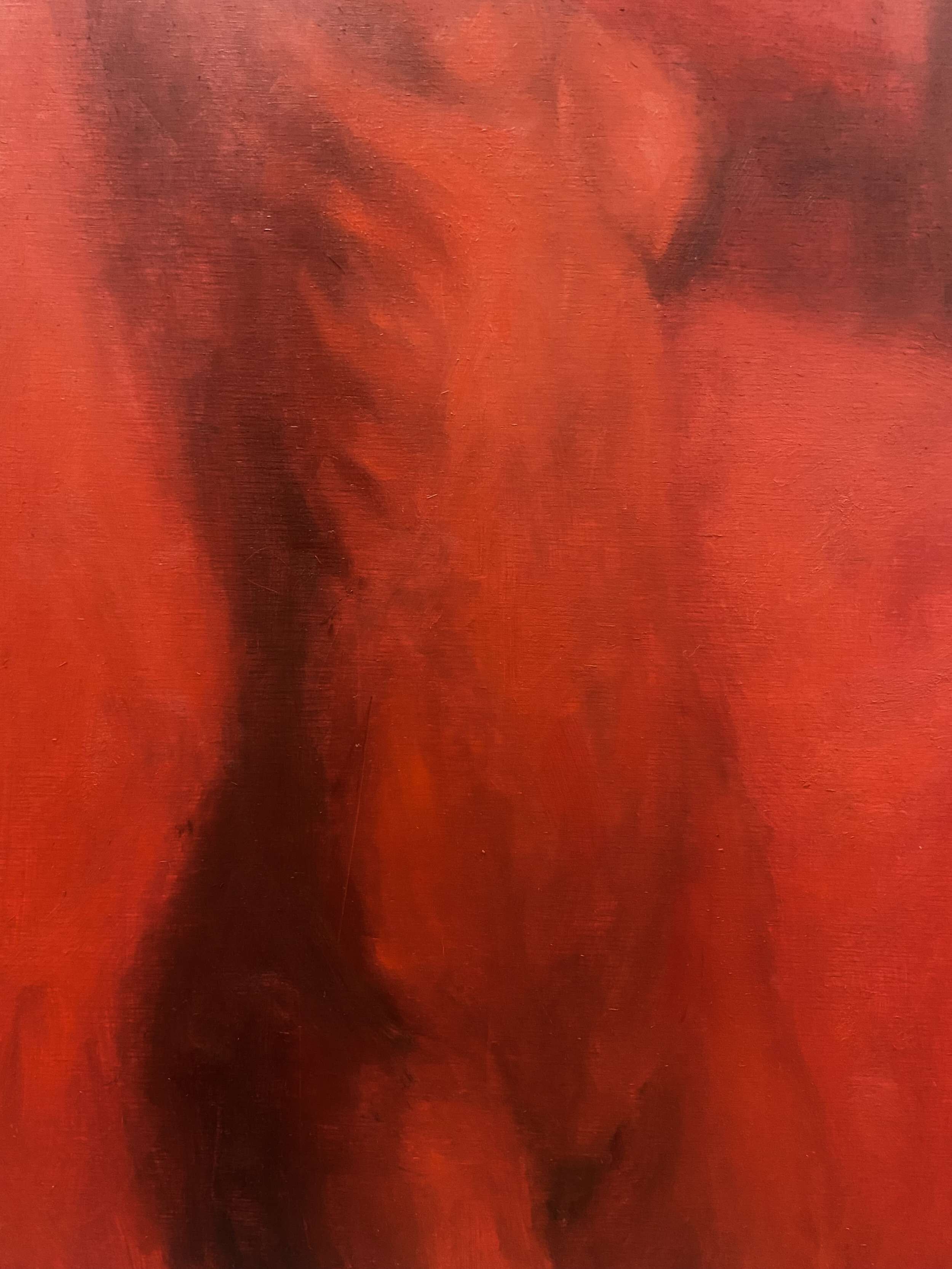 Lost in redness  - Lilli Geyer 4