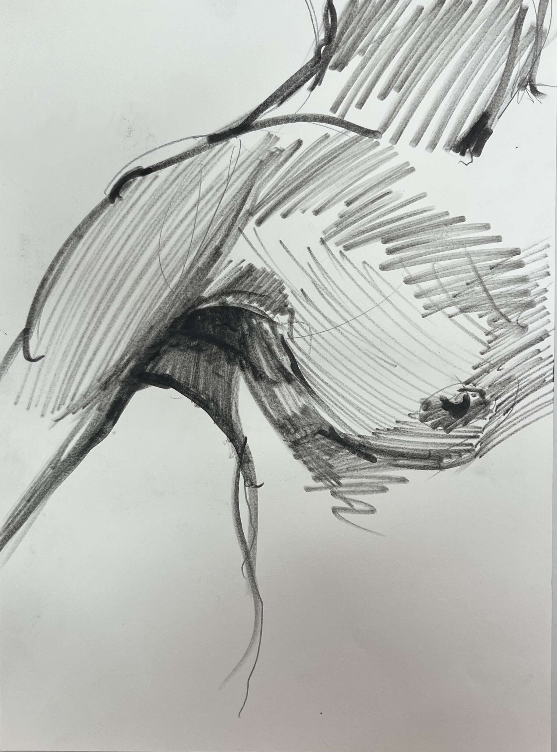 Schulter eines Mannes - Leon Tho Barwig 1