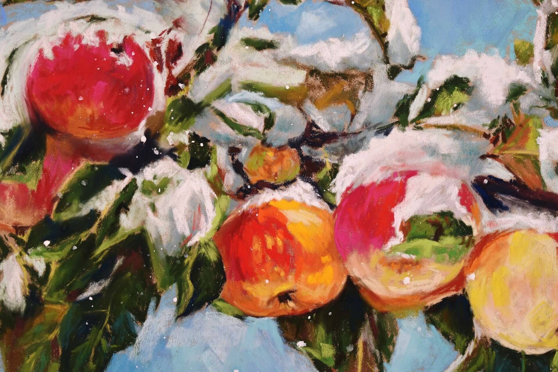 Wonder 2 - Elza Slo 1