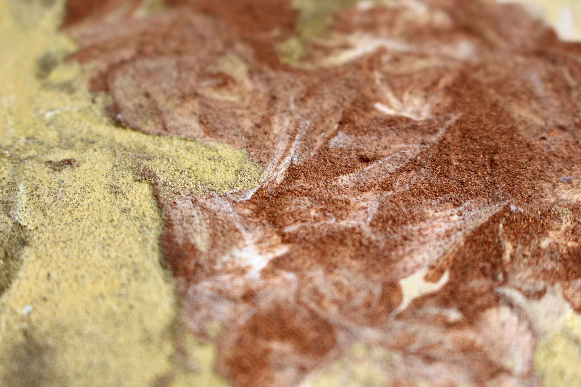 Terra Ocker - Kira Schmitt 5