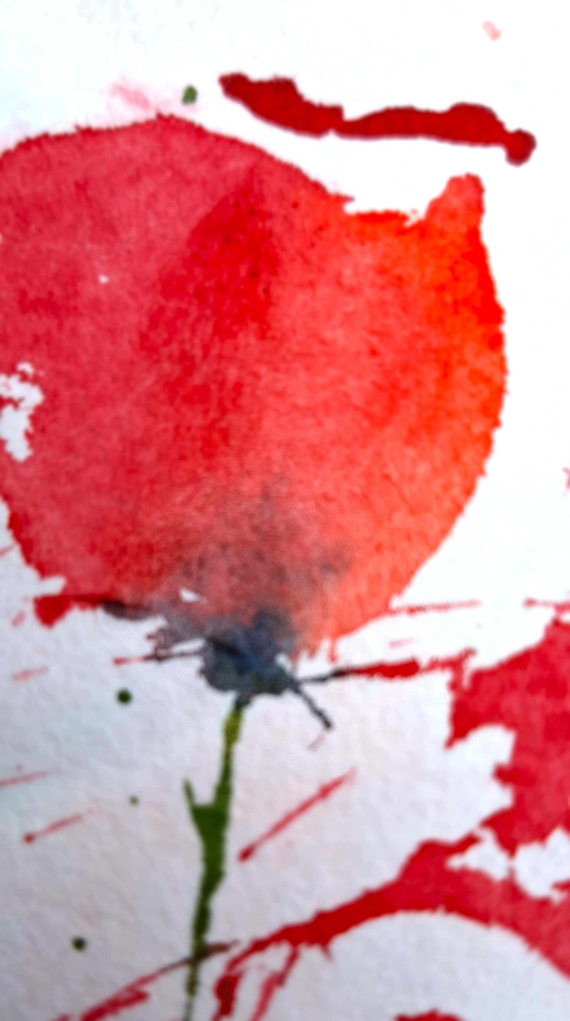 Rote Poesie - Sara Wimmers 1