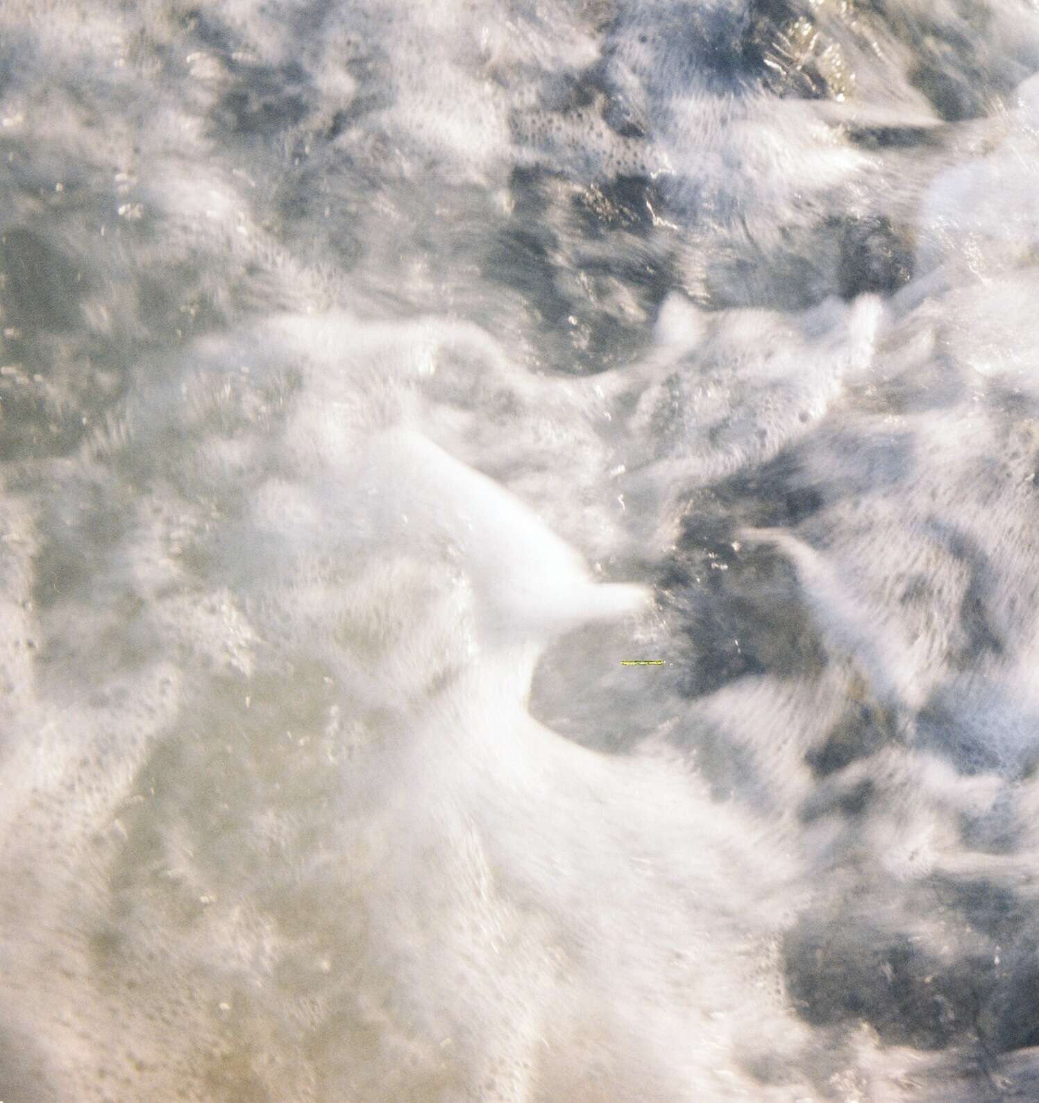 Blauschaum - Luise Oswald 2