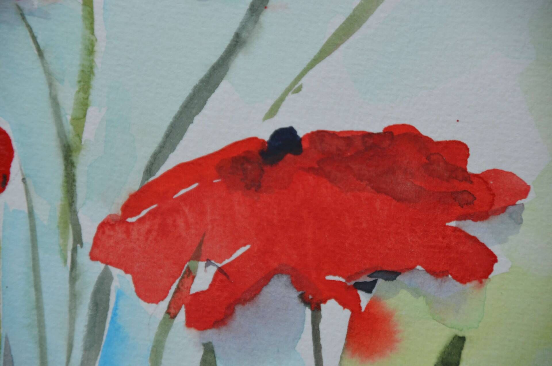 Poppies #36 - Sara Wimmers 1