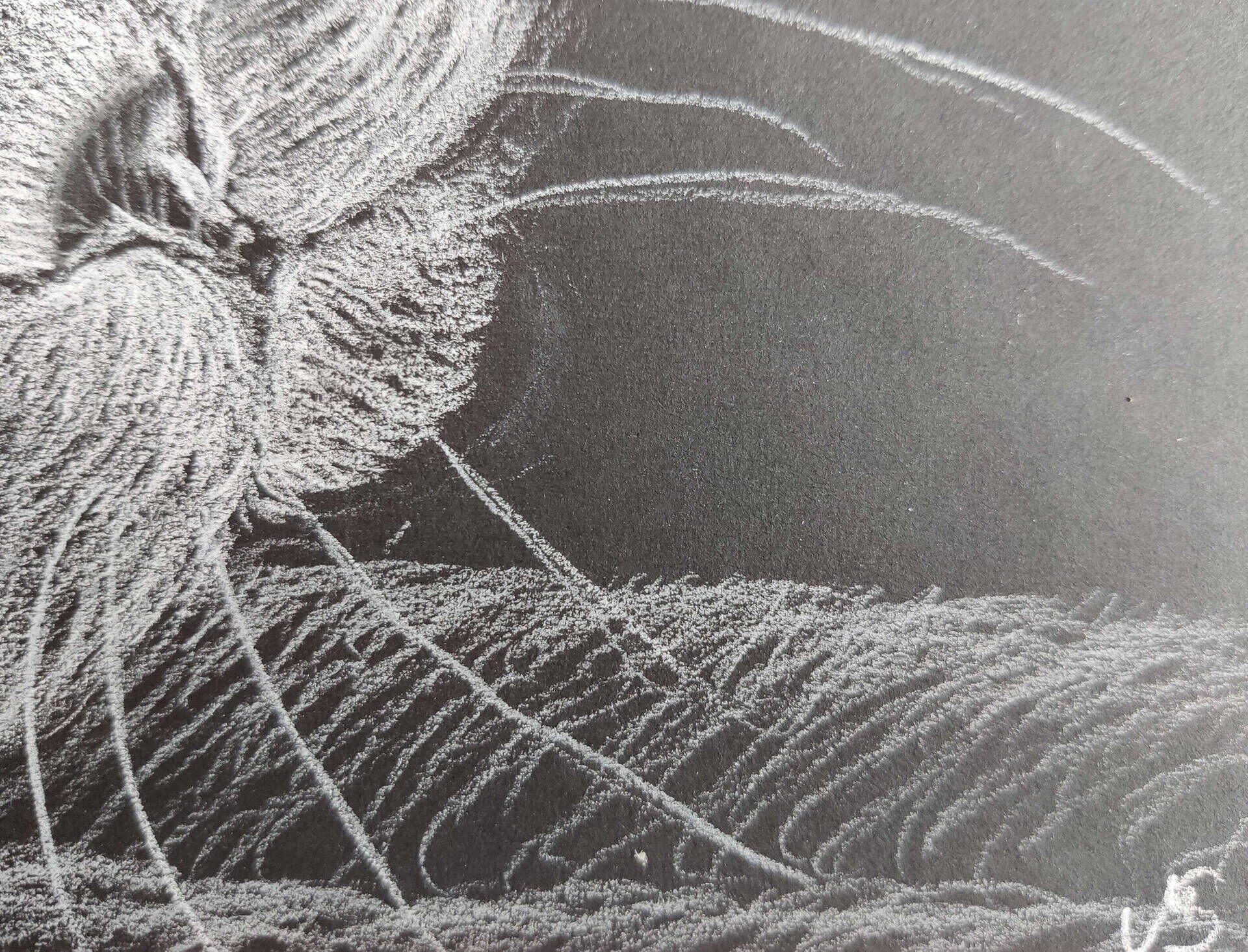 Clara - Milena Simonis 4