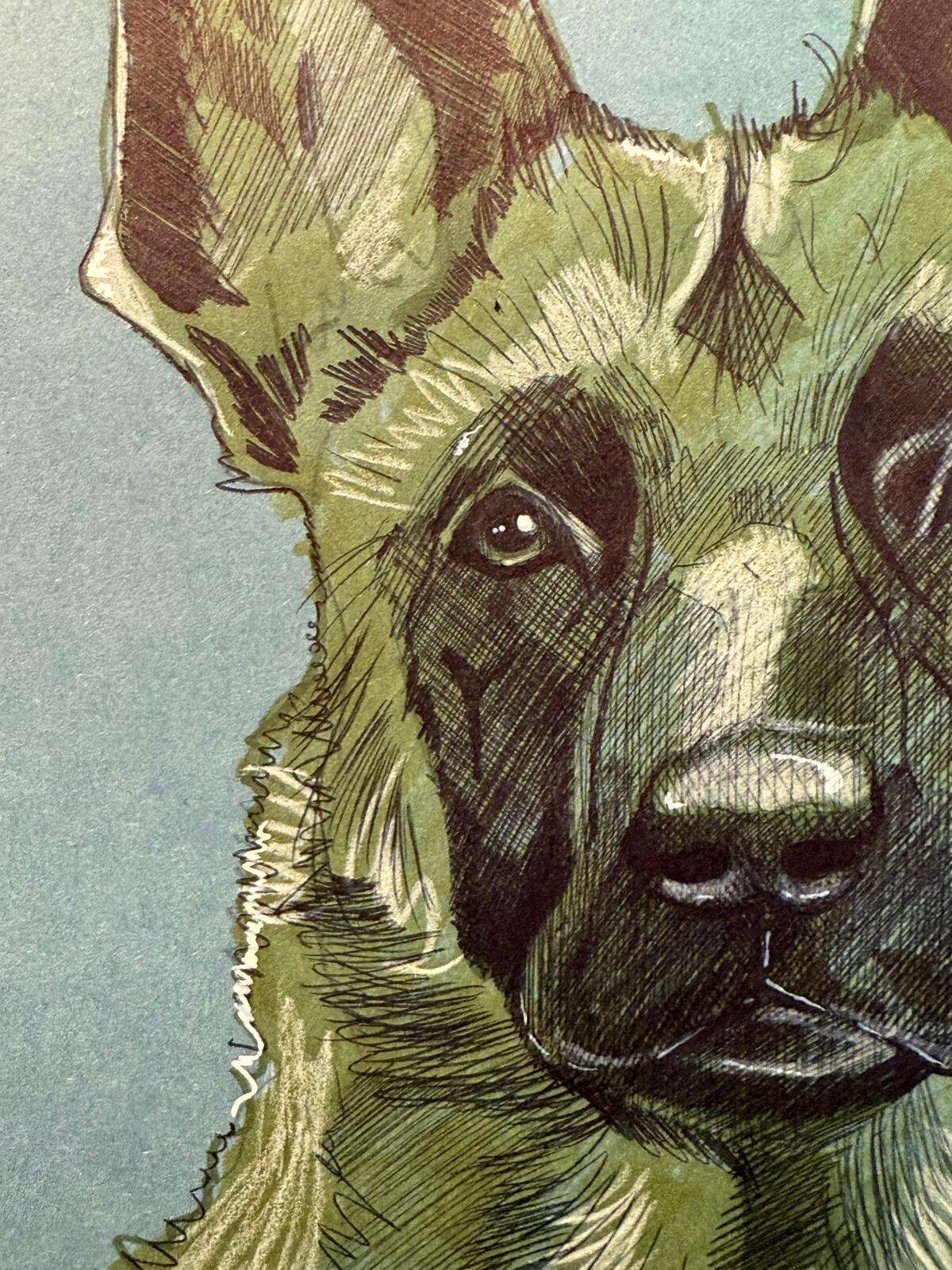 Dog Raptor - Laura Küpper 6