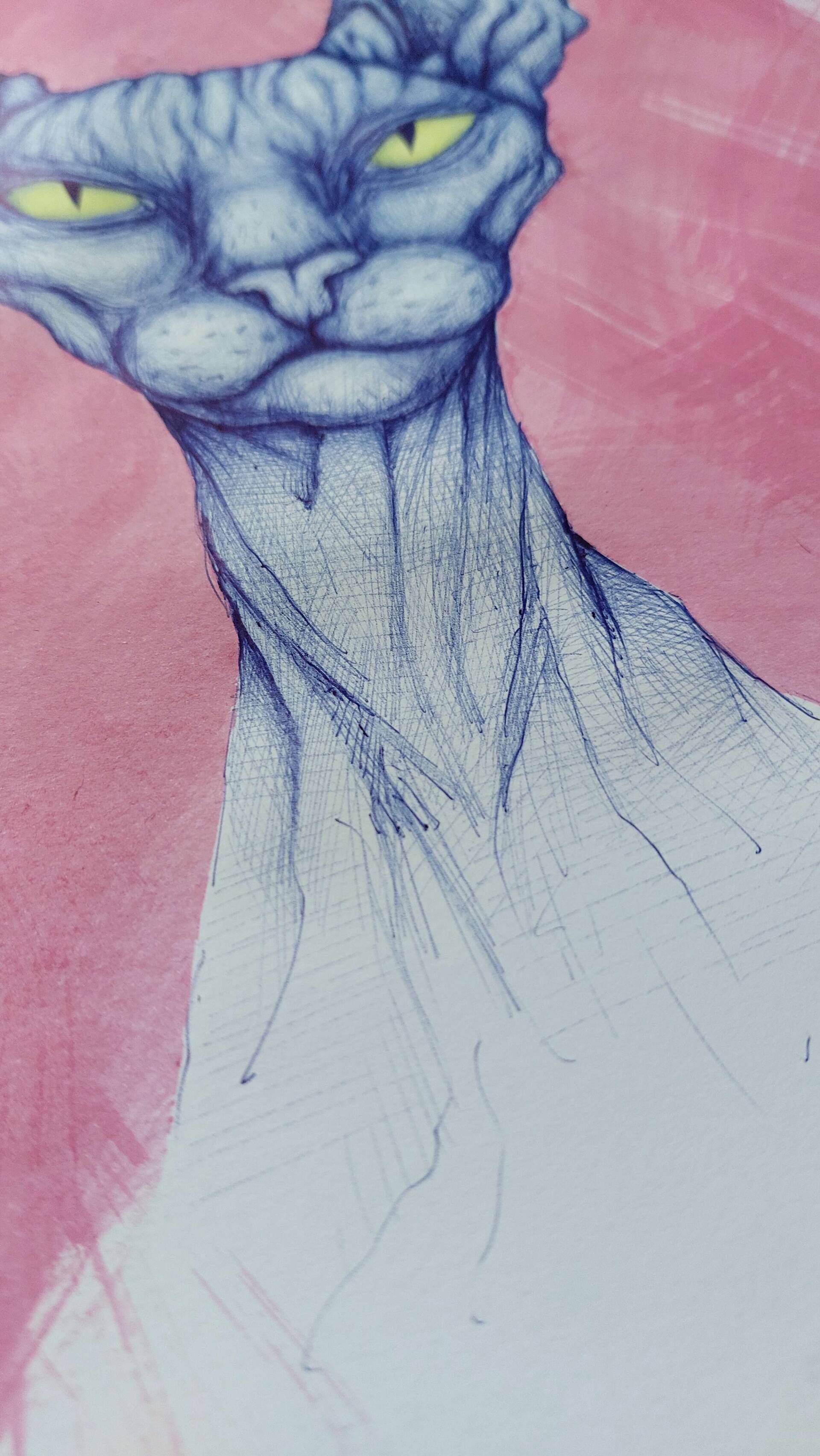 Der Blick der Katze - Alexander Straub 4