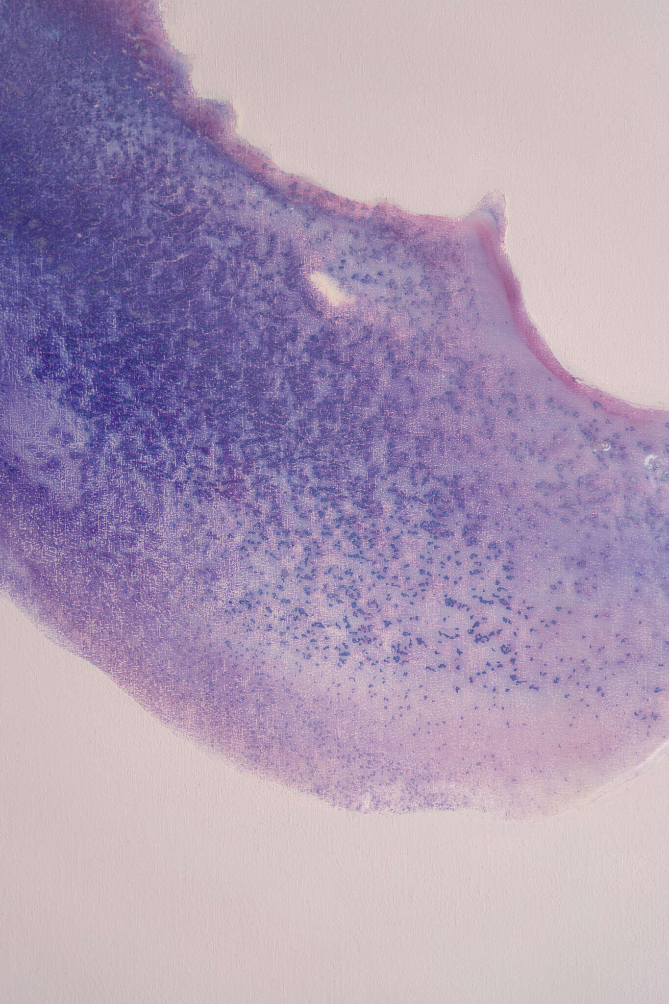 Monochrome Flow IV - Anna Lena  Wirth 4