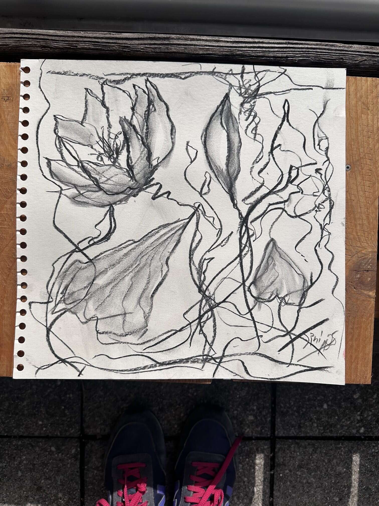 Waterlilies Move 1 - Martina  Schepperle  2