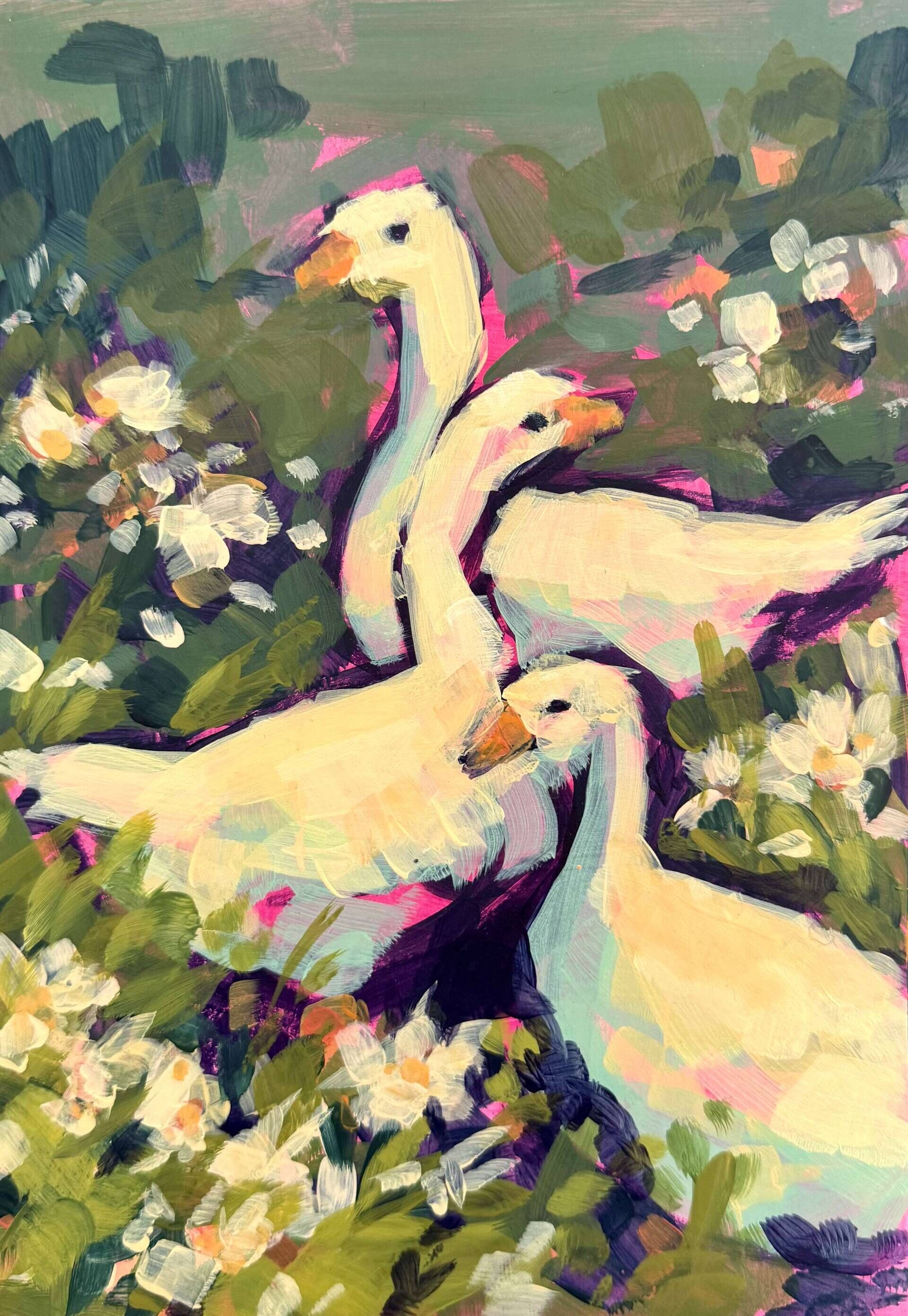 Gänseblumen - Daniel Heimgärtner 1