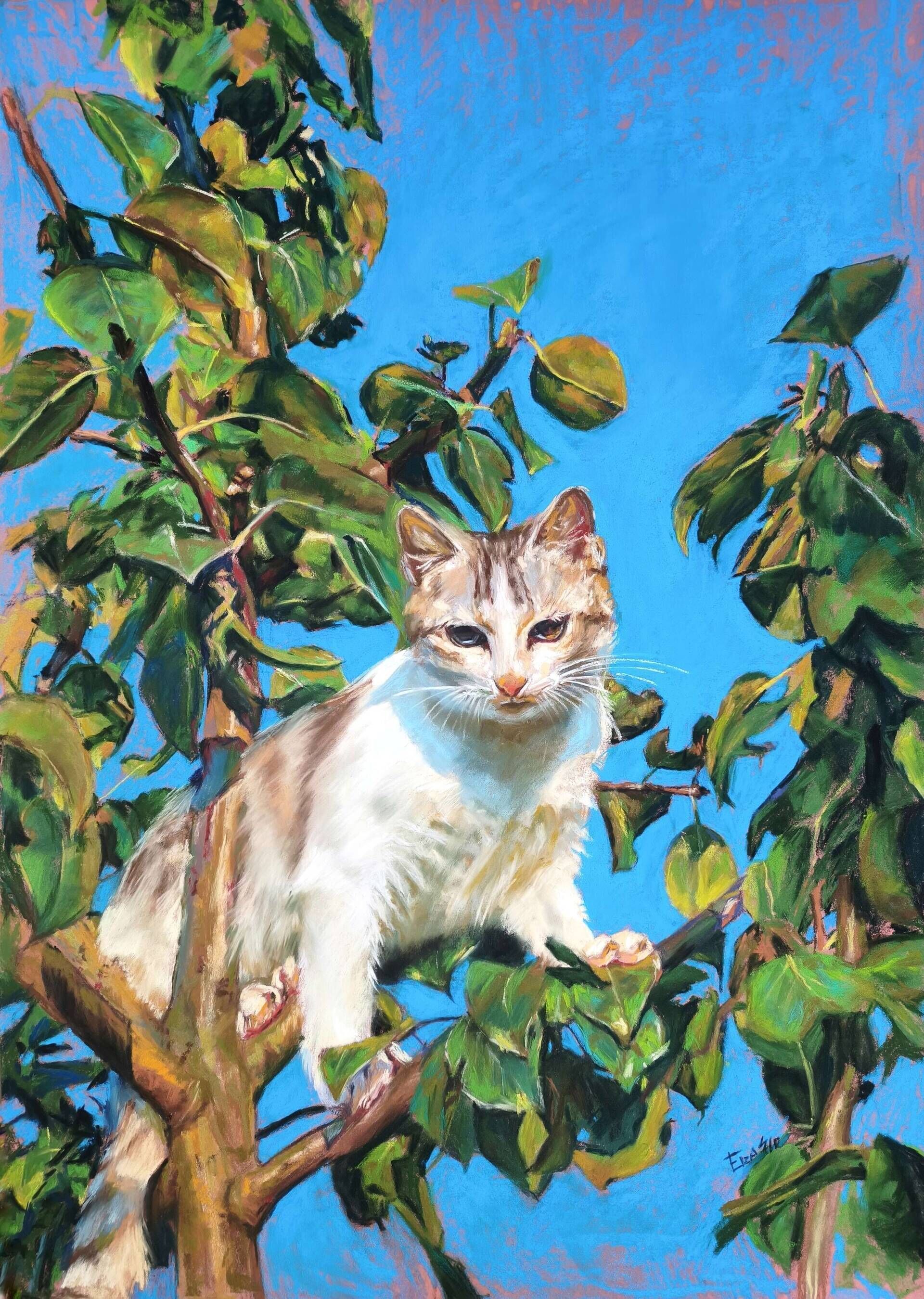 Magic cat - Elza Slo 1