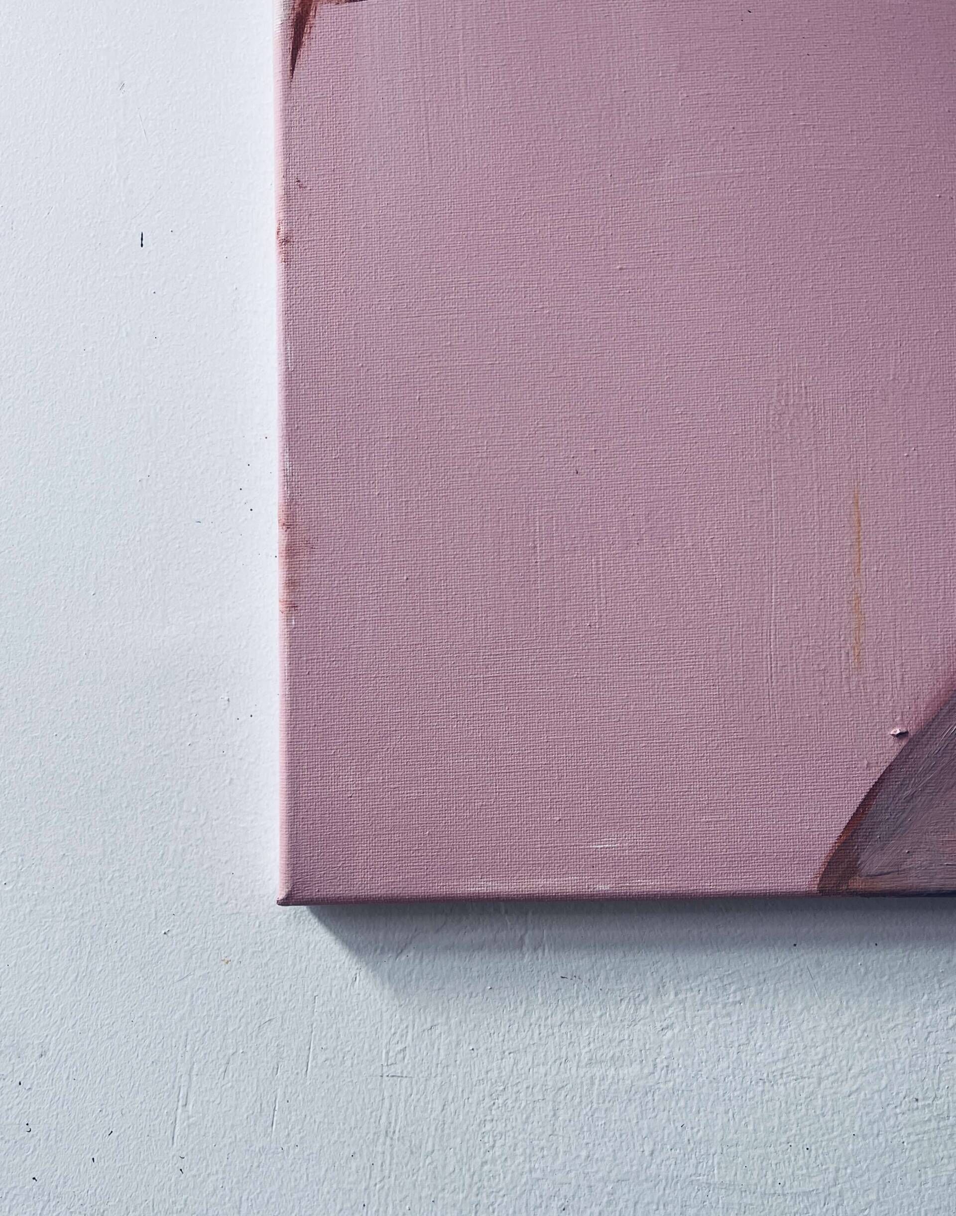 Rosa Protokoll  - Kiki Feltzinger 5