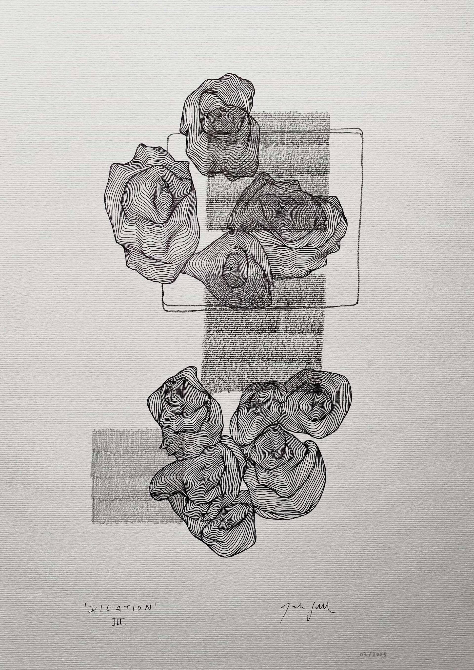 dilation III - Paula-Maryla Schmoll 1