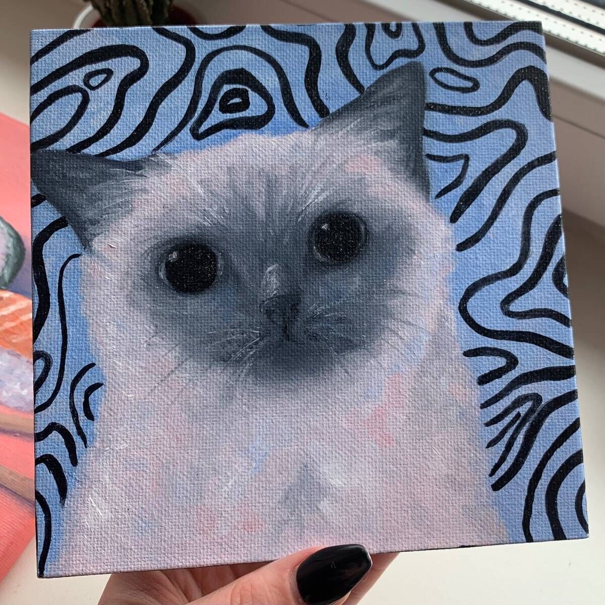 Cat with no thoughts 