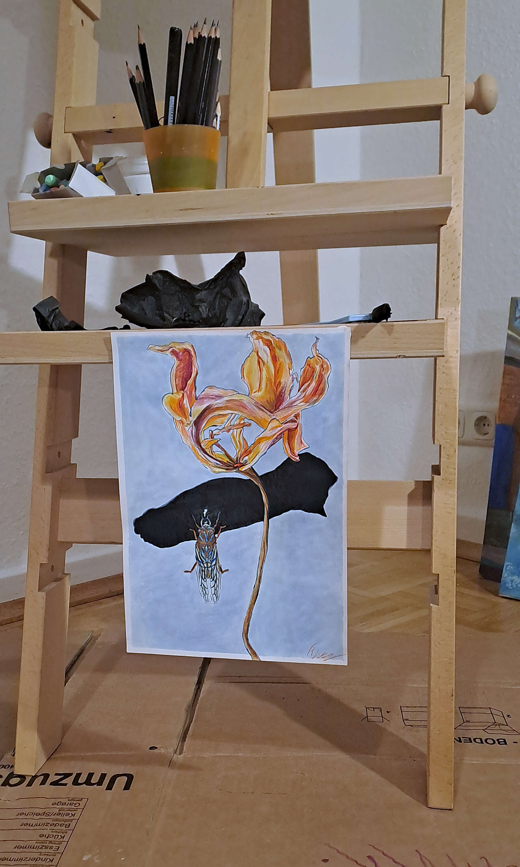 Cicada on Dahlia - Thomas Lorenz 2