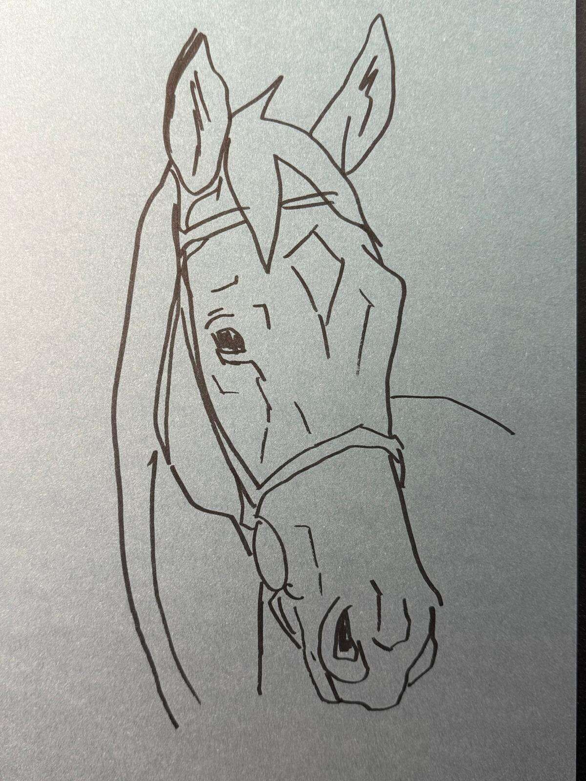 Pferdeköpfe - Laura Küpper 2