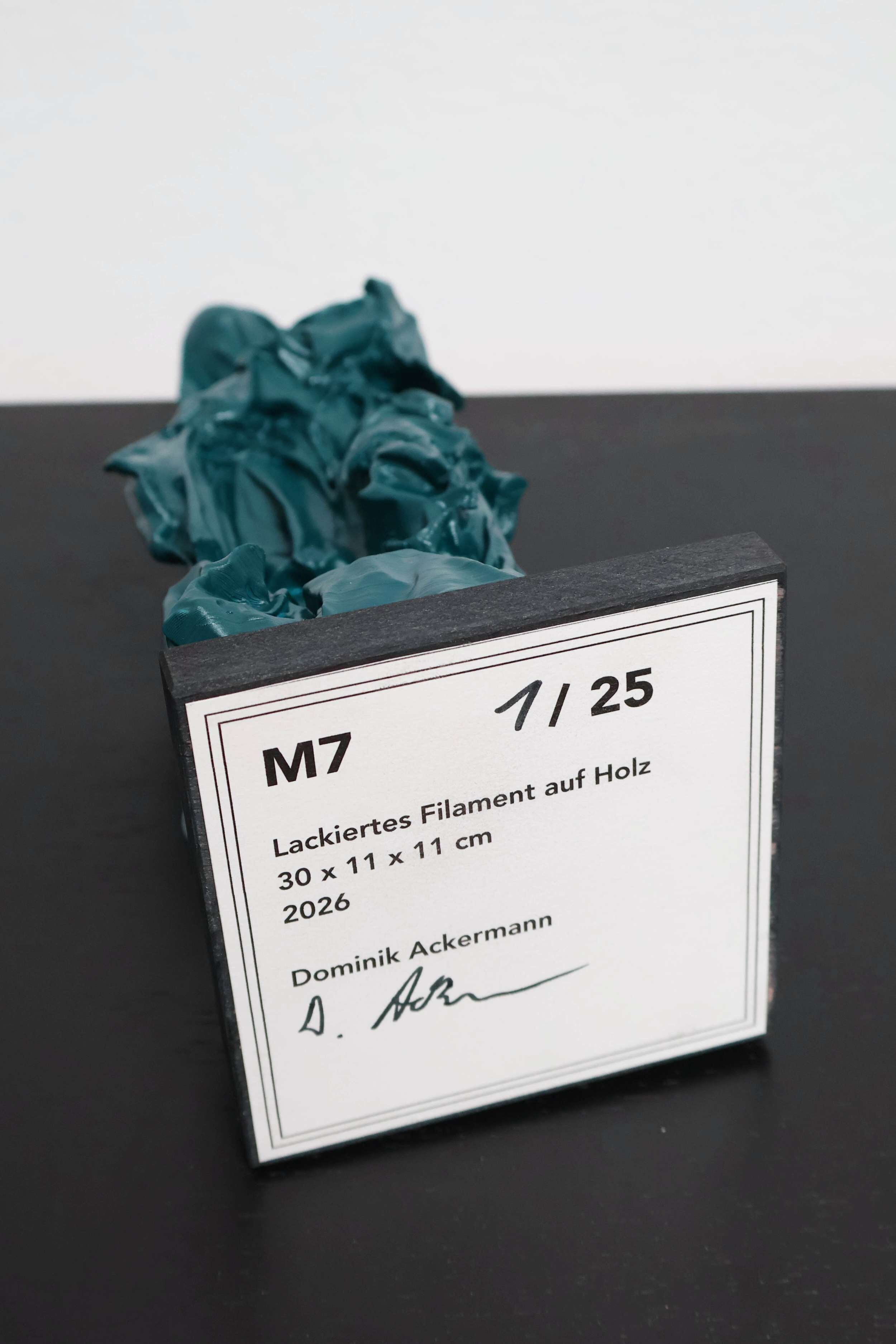 M7 - Dominik Ackermann 6