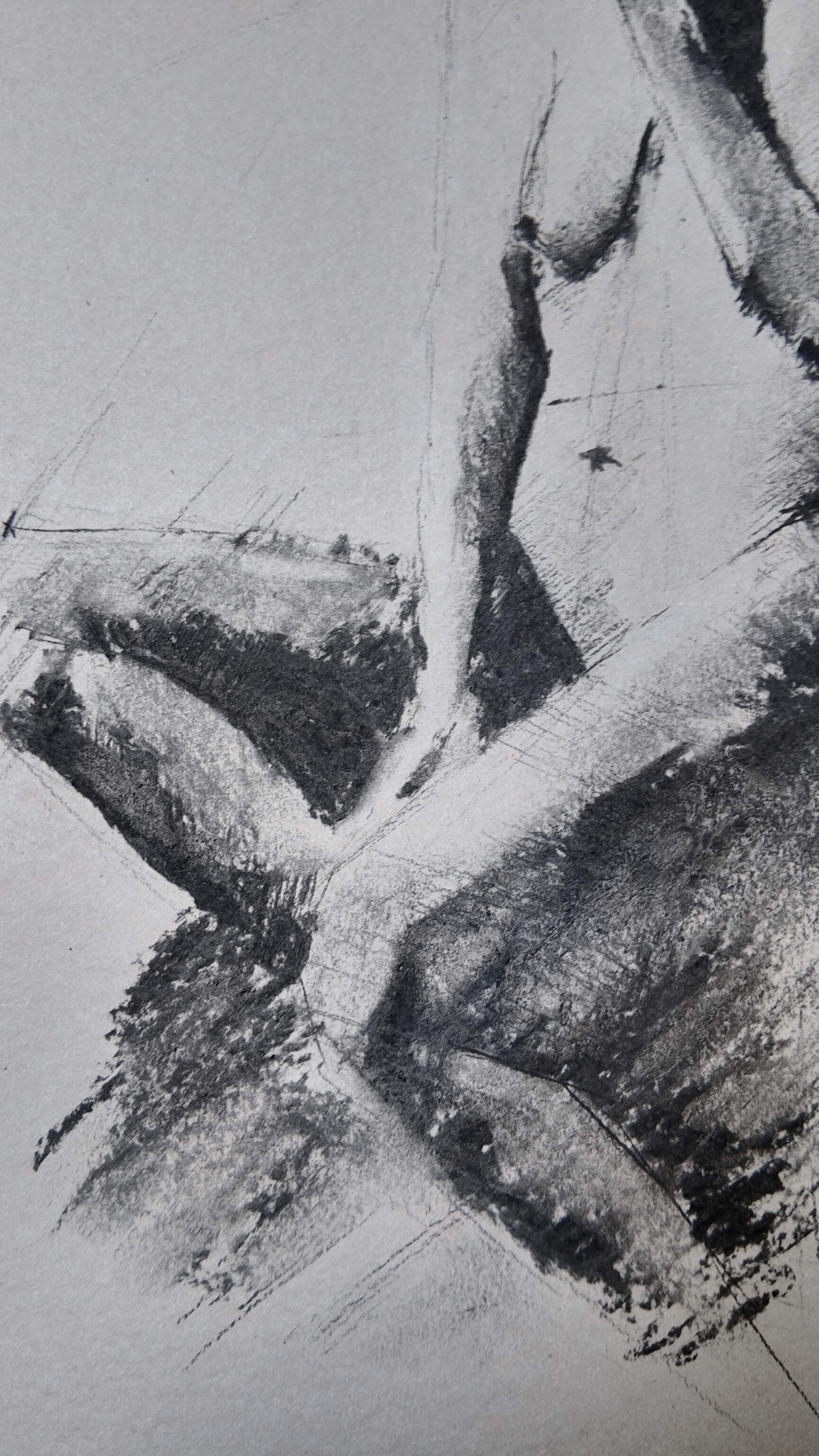 Charcoal#55 - Paul Schäfer 1