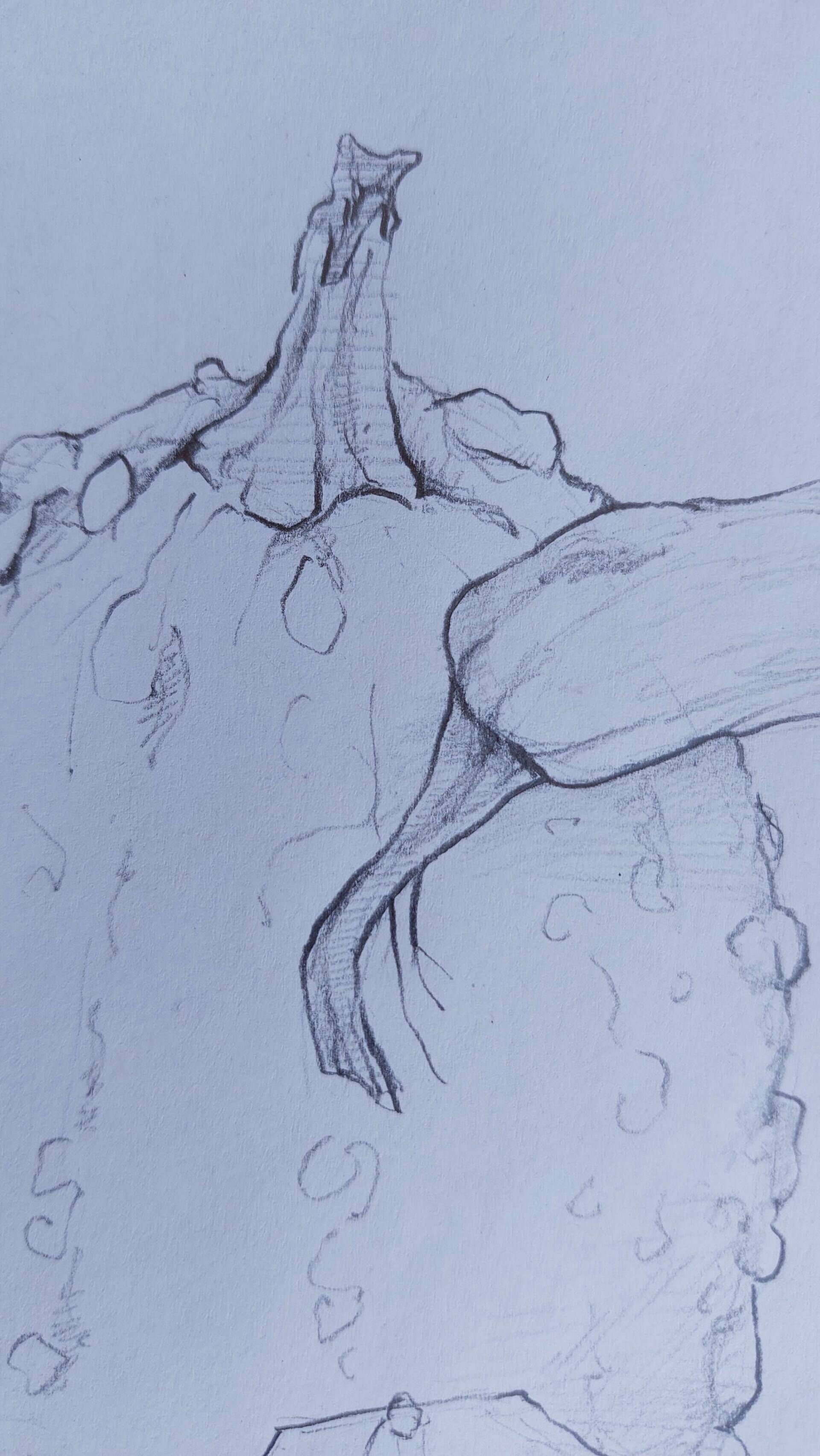 Stillleben mit Teebeutel - Alexander Straub 4