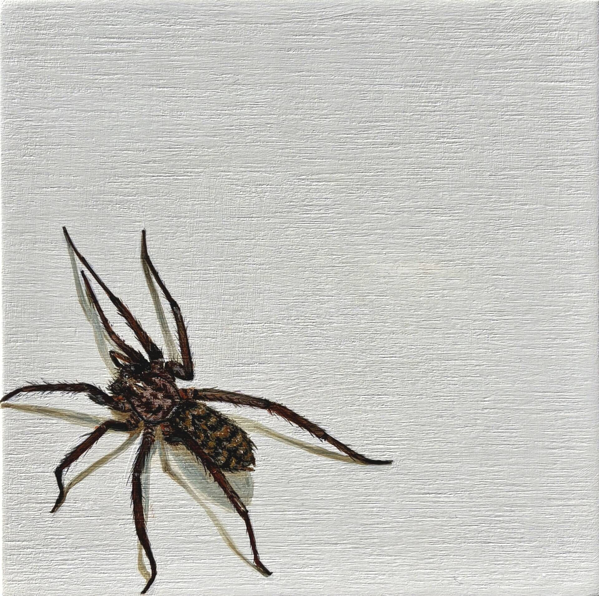 Tiny Terrors (Spider) - Louis Ortwein 1